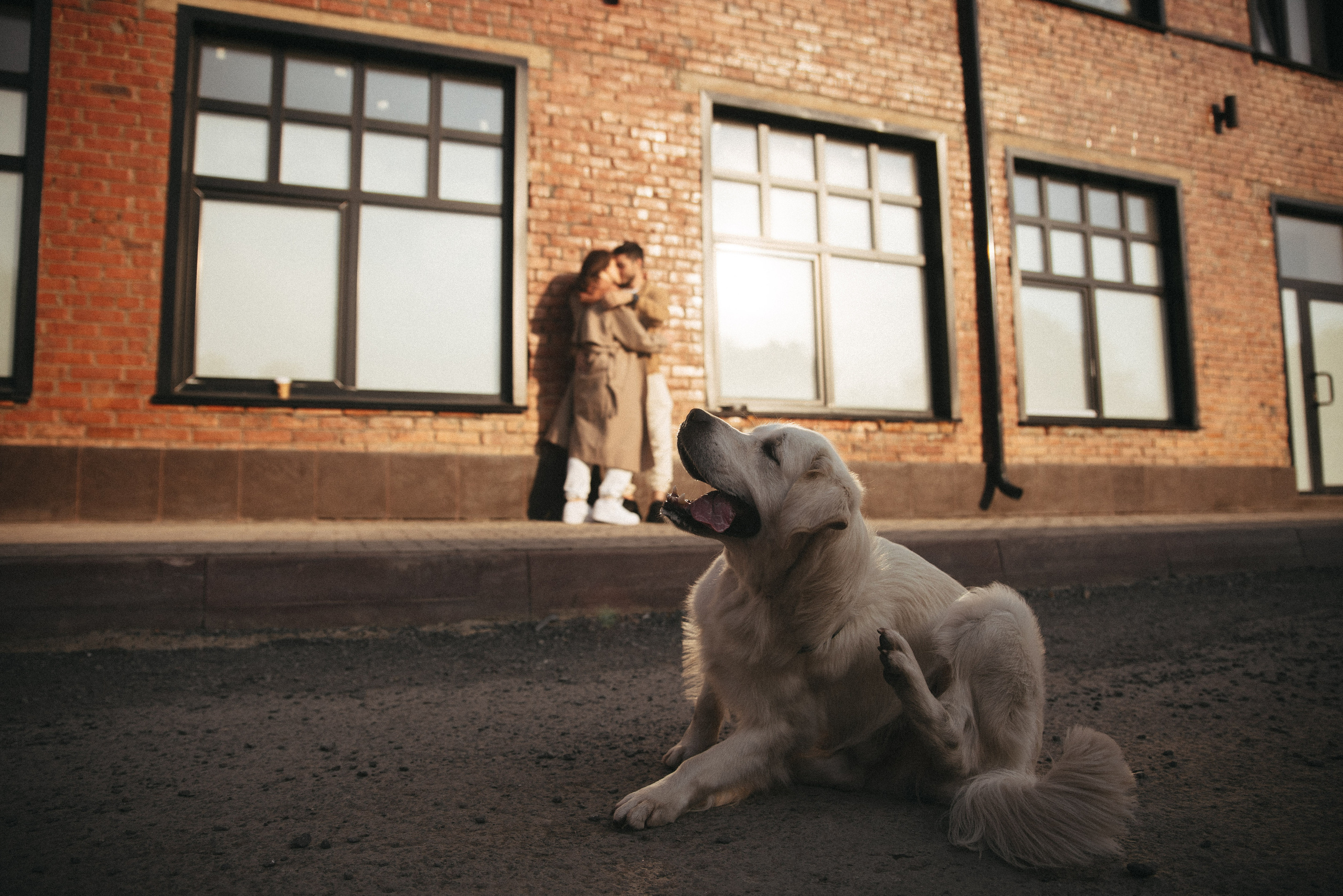 Love Story. Фотограф Роман Блинов