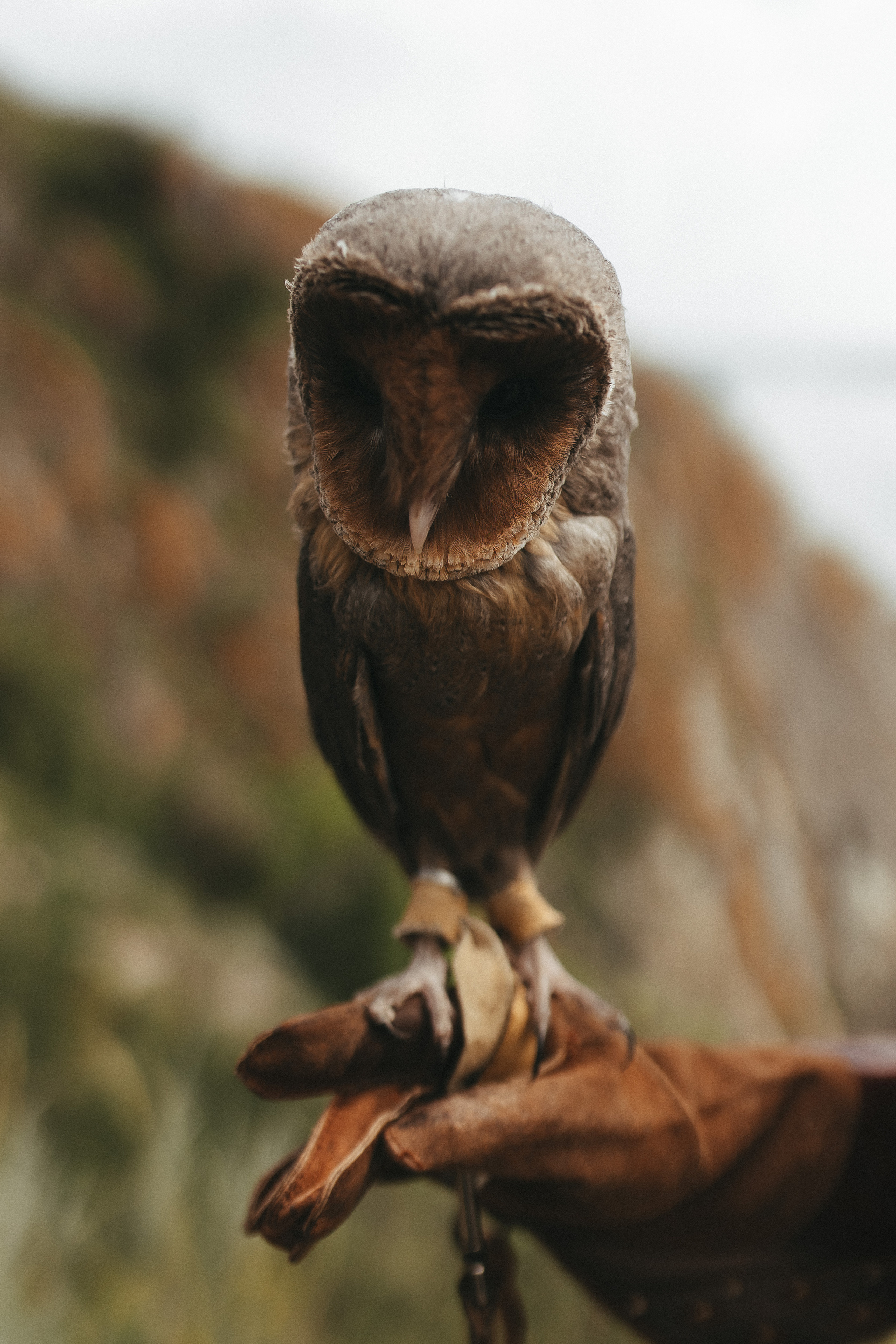 Свадебные истории. Фотограф Роман Блинов