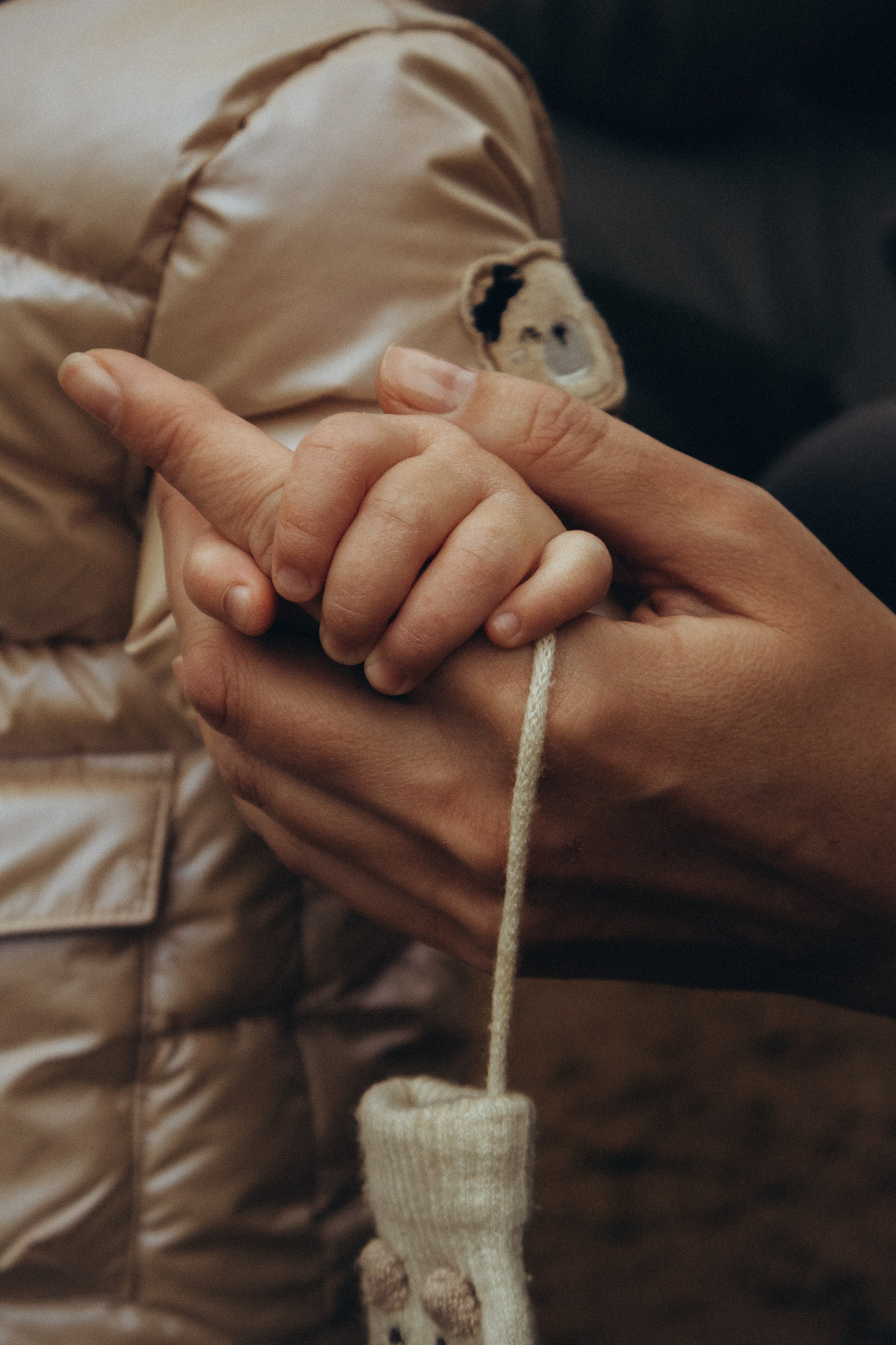 Осенний пикник. Фотограф Москва Алёна Суворова