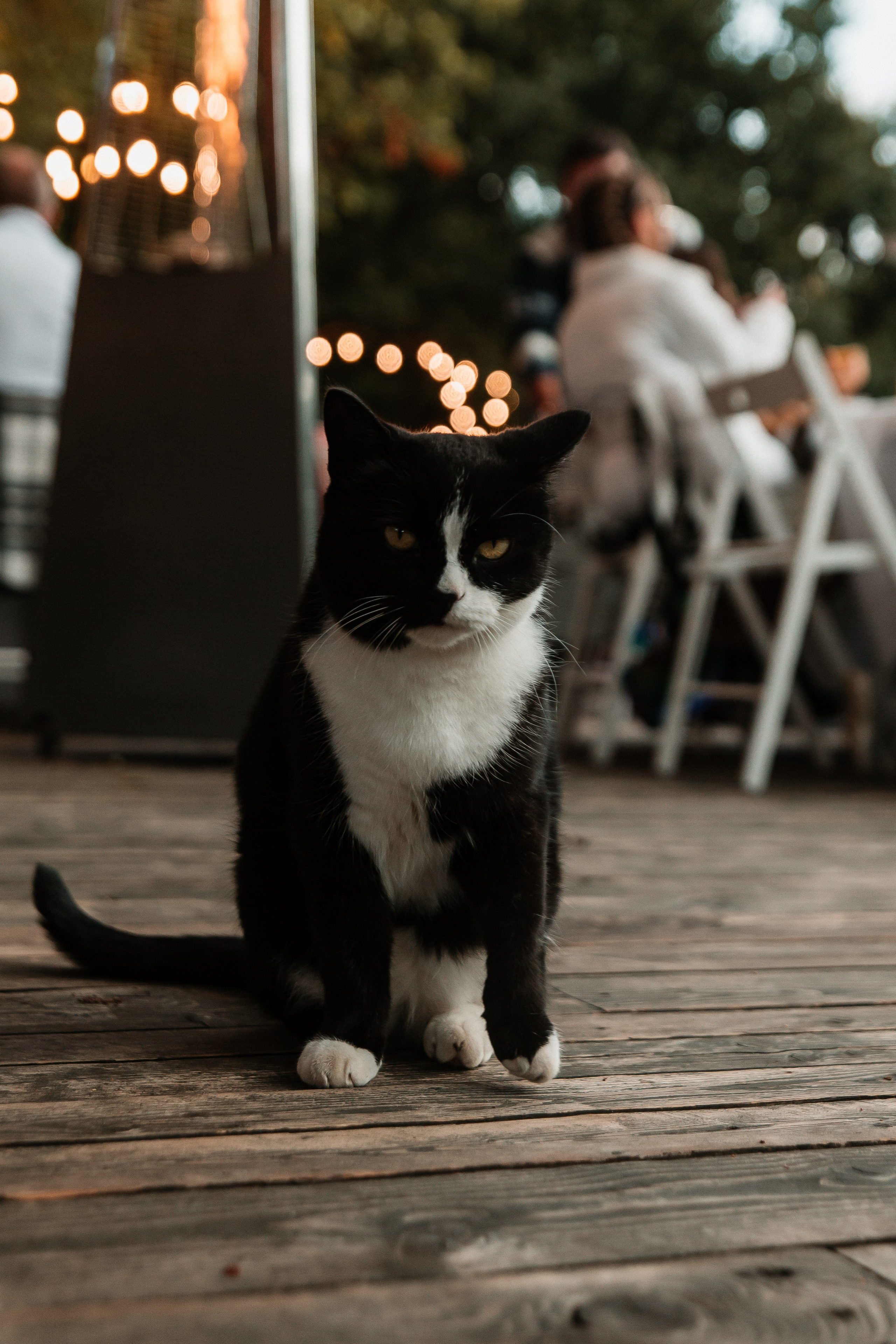 Ваня & Аня. Фотограф Егор Сухов