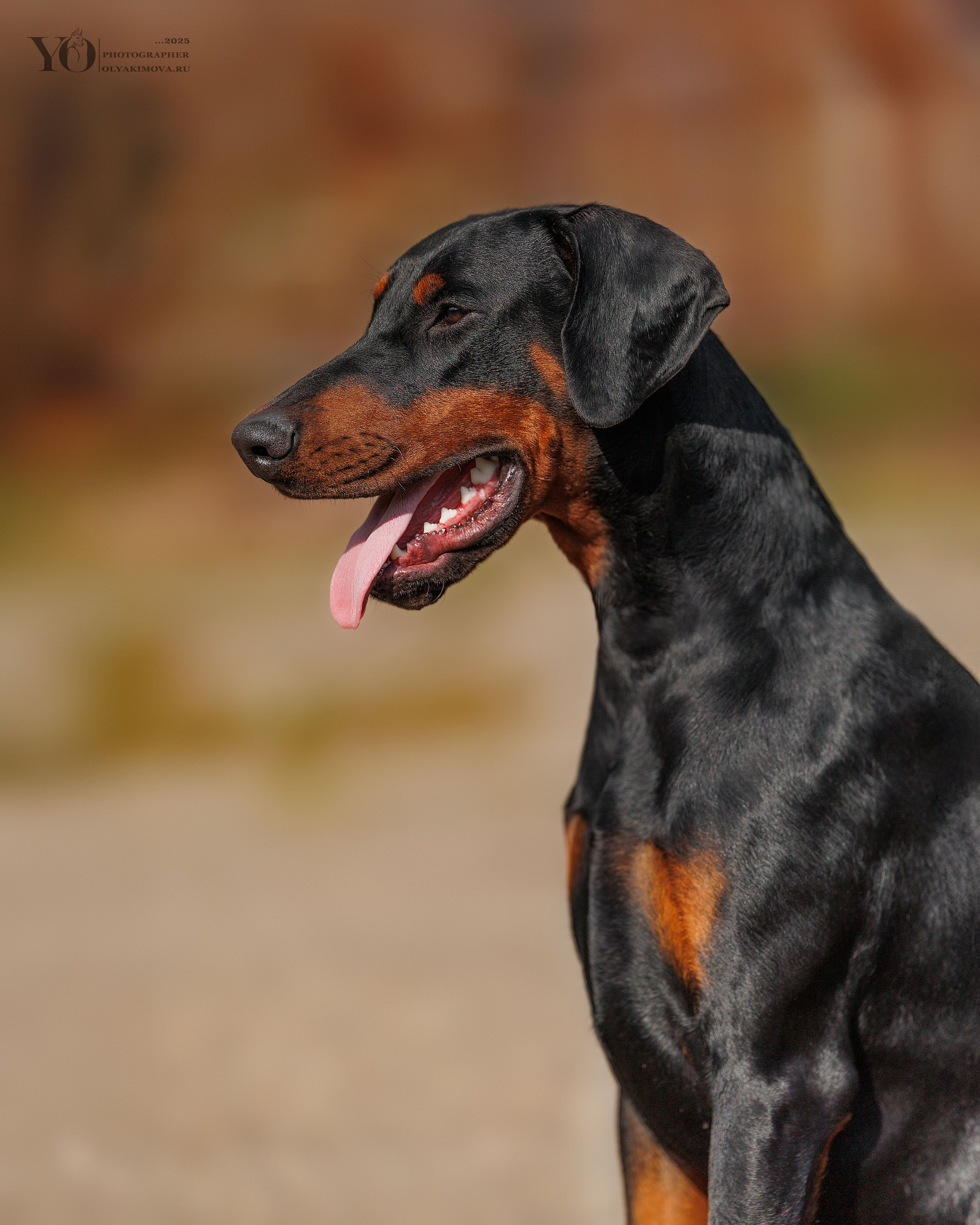 Экстерьер. Фотограф