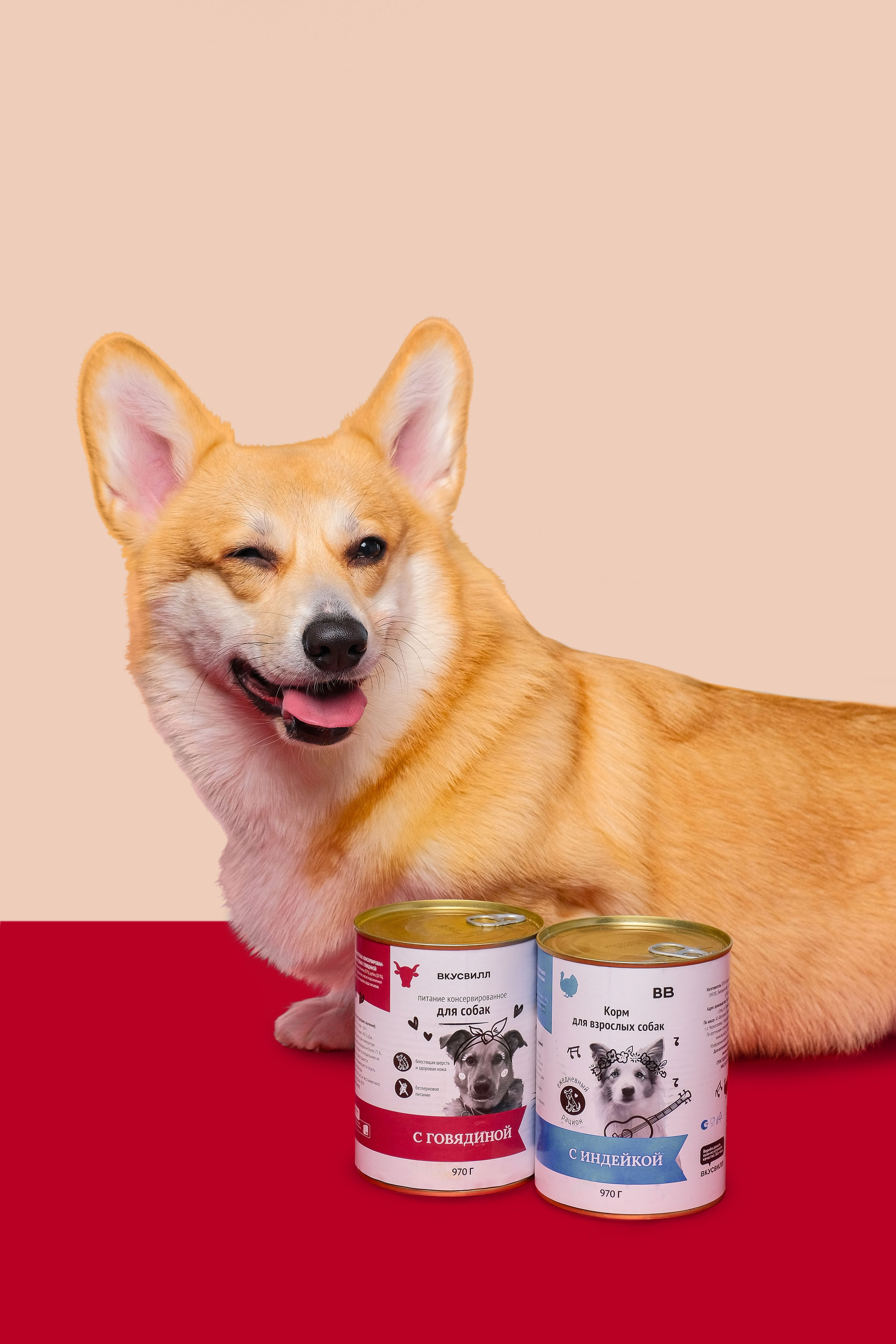 Постпродакшн и ретушь в Москве | Ретушь для Вкусвилл