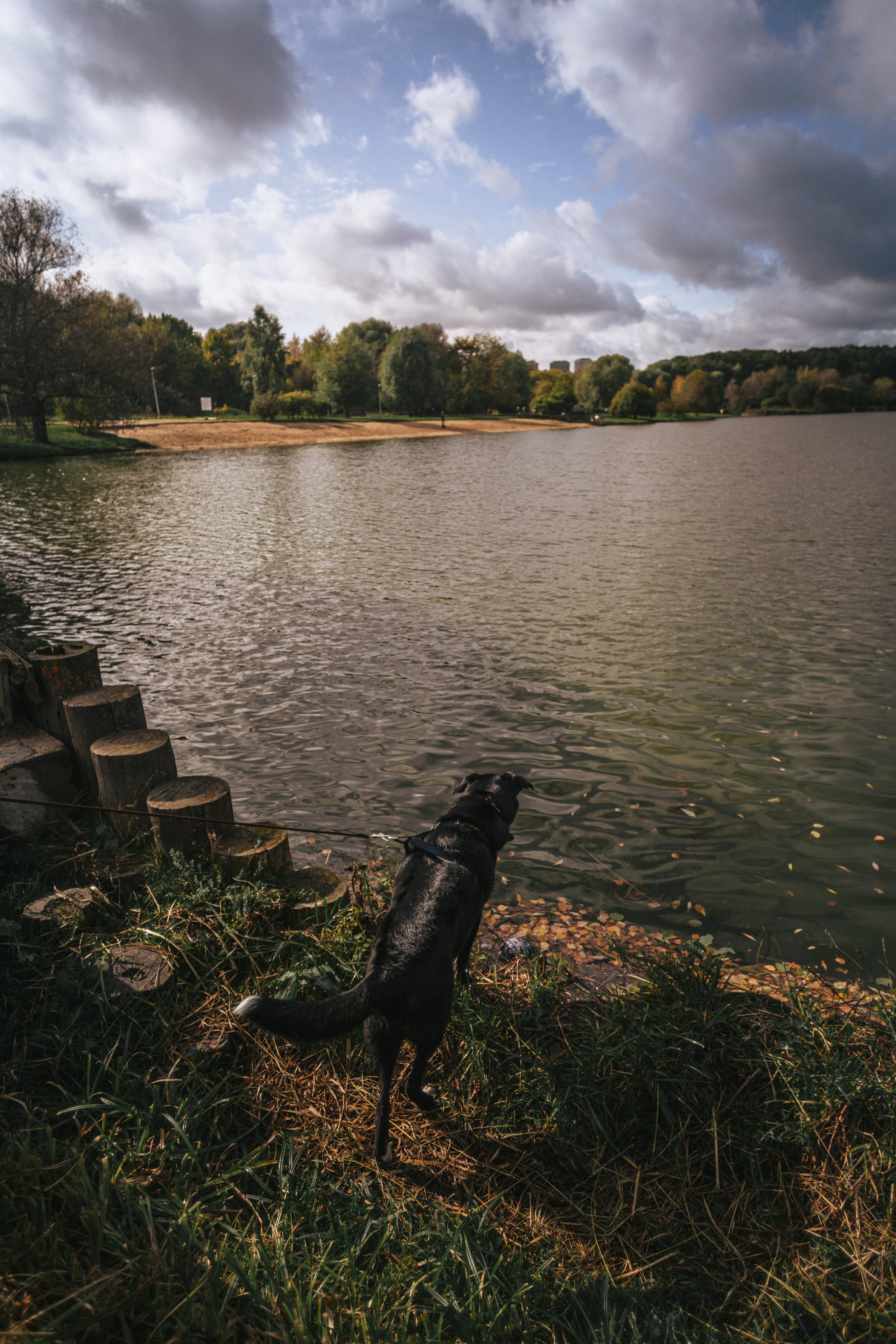 Юля и Фортуна. Фотограф-анималист Татьяна Степанова