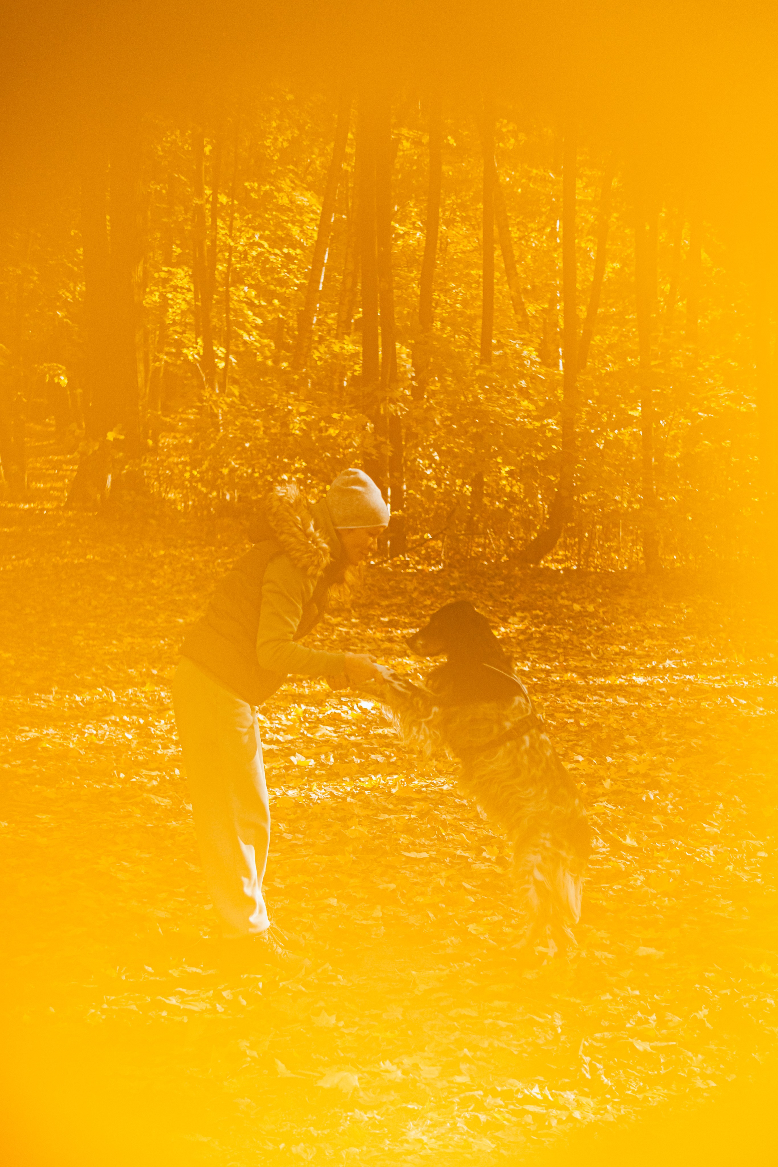 Света, Хайди, Богдана. Фотограф-анималист Татьяна Степанова