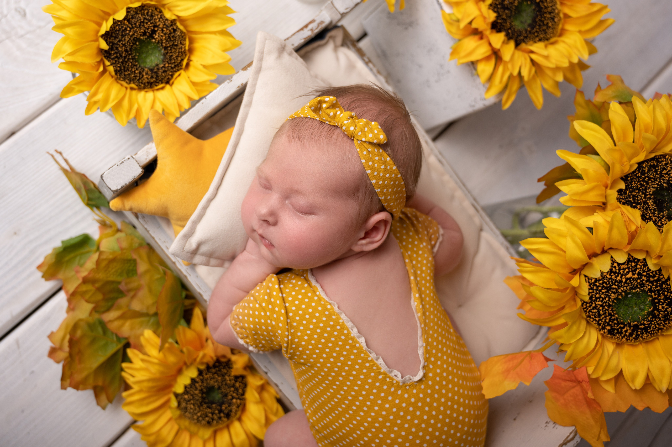 Новорожденные девочки. Детский фотограф в городе Жуковский Алиса Коробанова