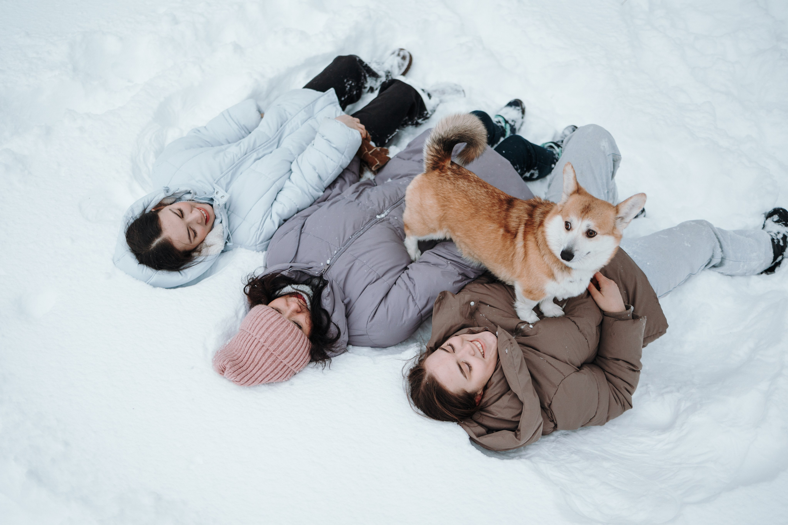 Оливка и ее семья. Фотограф — Анималист | Санкт-Петербург