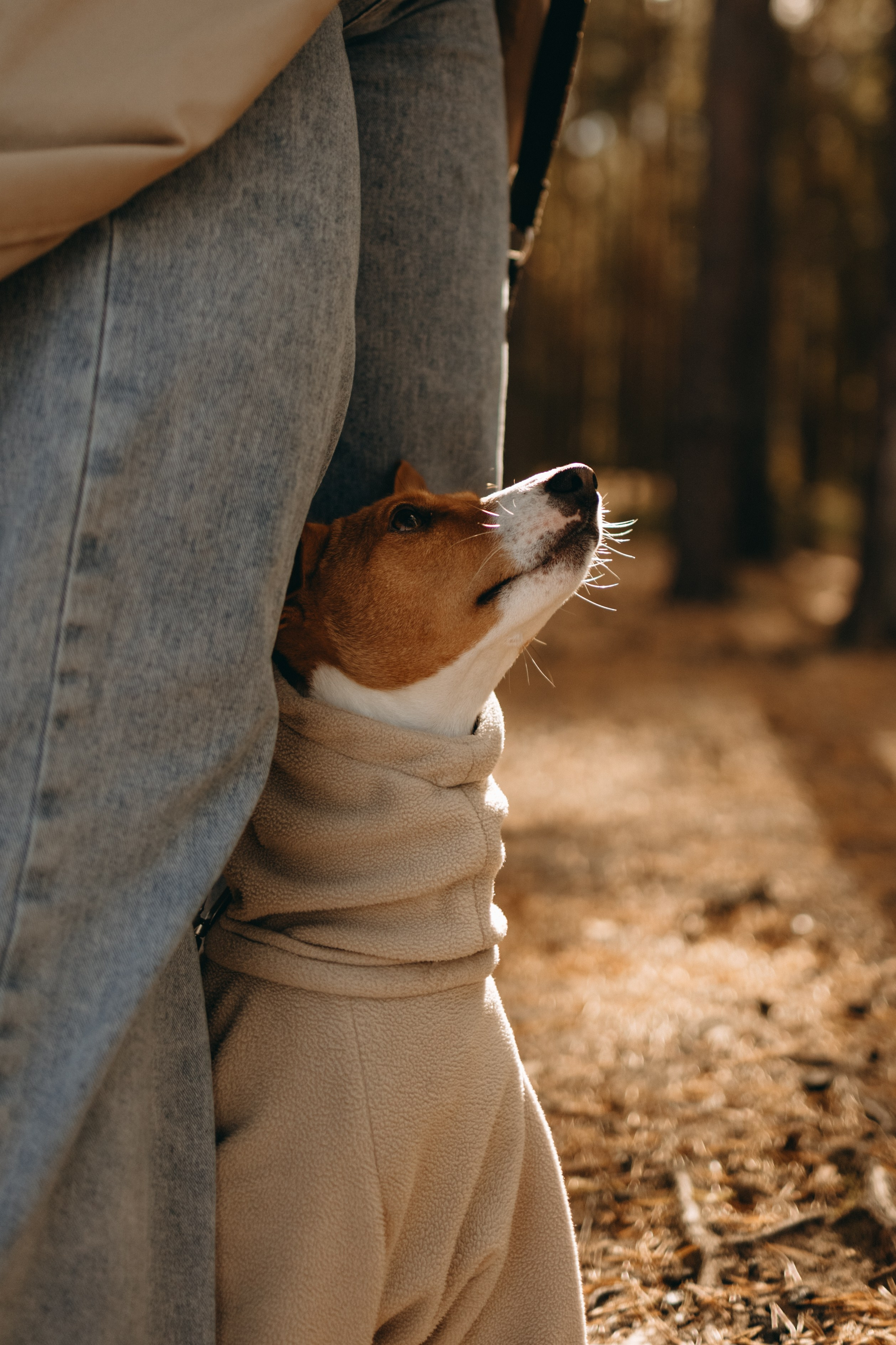 Алиса и Лео. Фотограф — Анималист | Санкт-Петербург