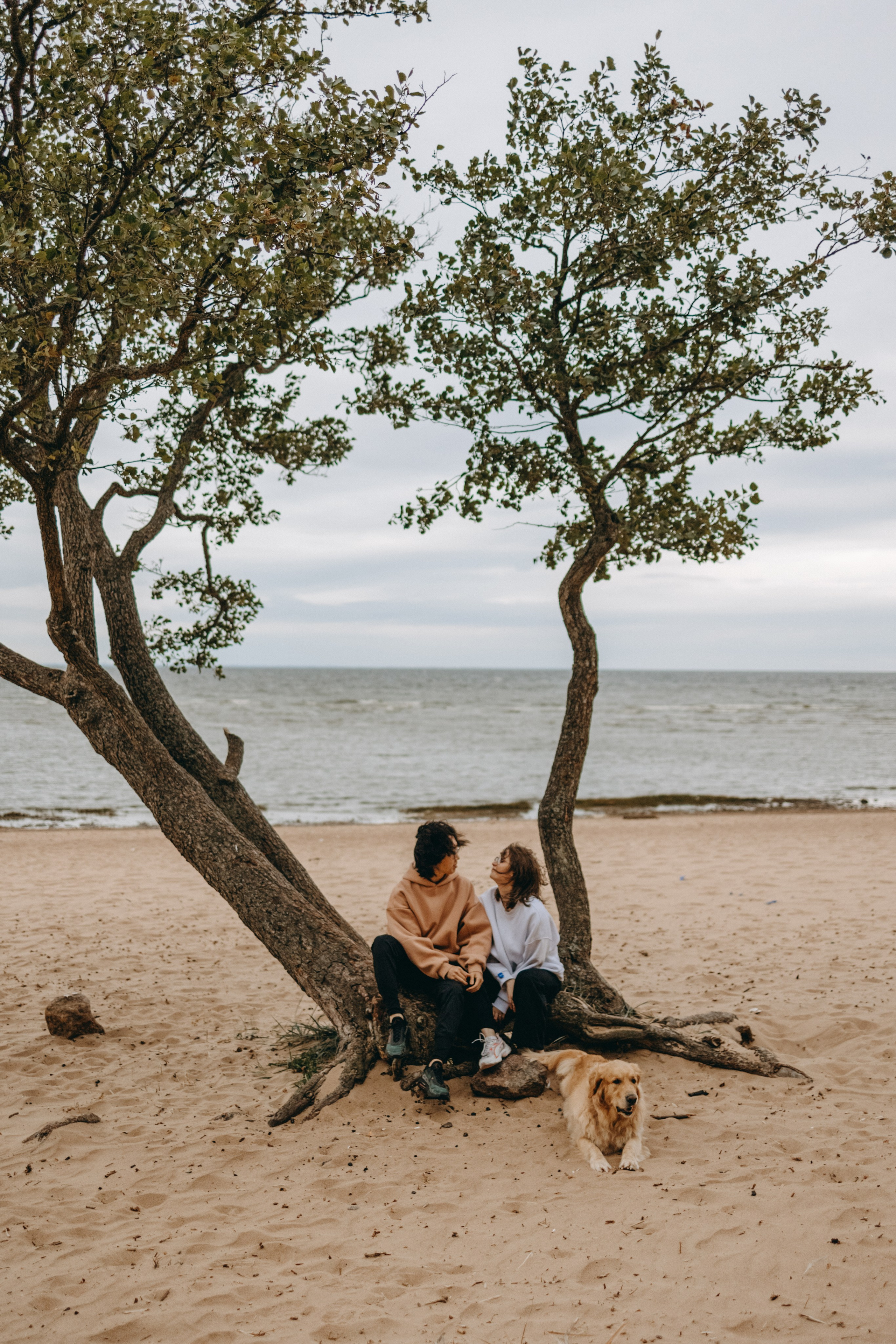 Фоси и его семьи. Фотограф — Анималист | Санкт-Петербург