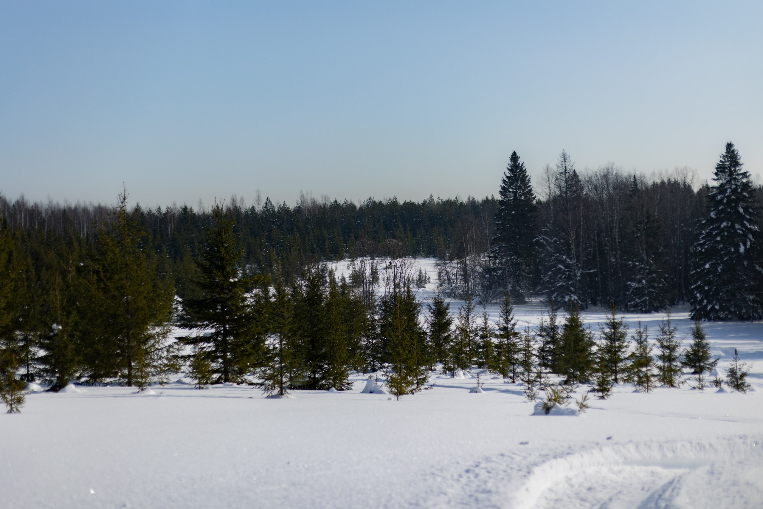 Егор. Семейный и детский фотограф в Перми Юдинцева Юлия