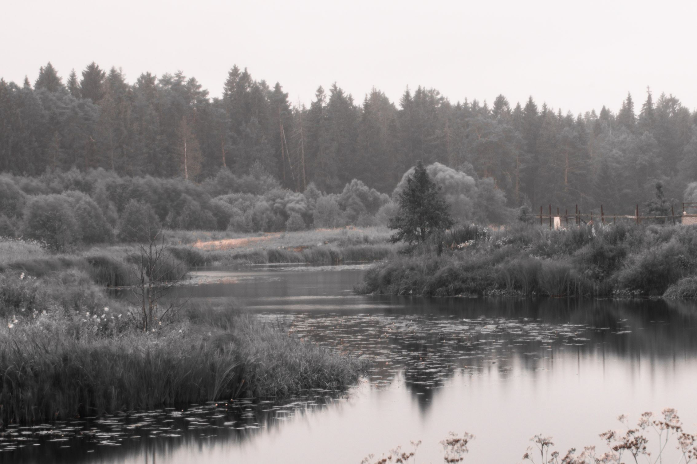 Фото пейзажа! Black tone effect. Автомобильный фотограф в Москве Денис Волков