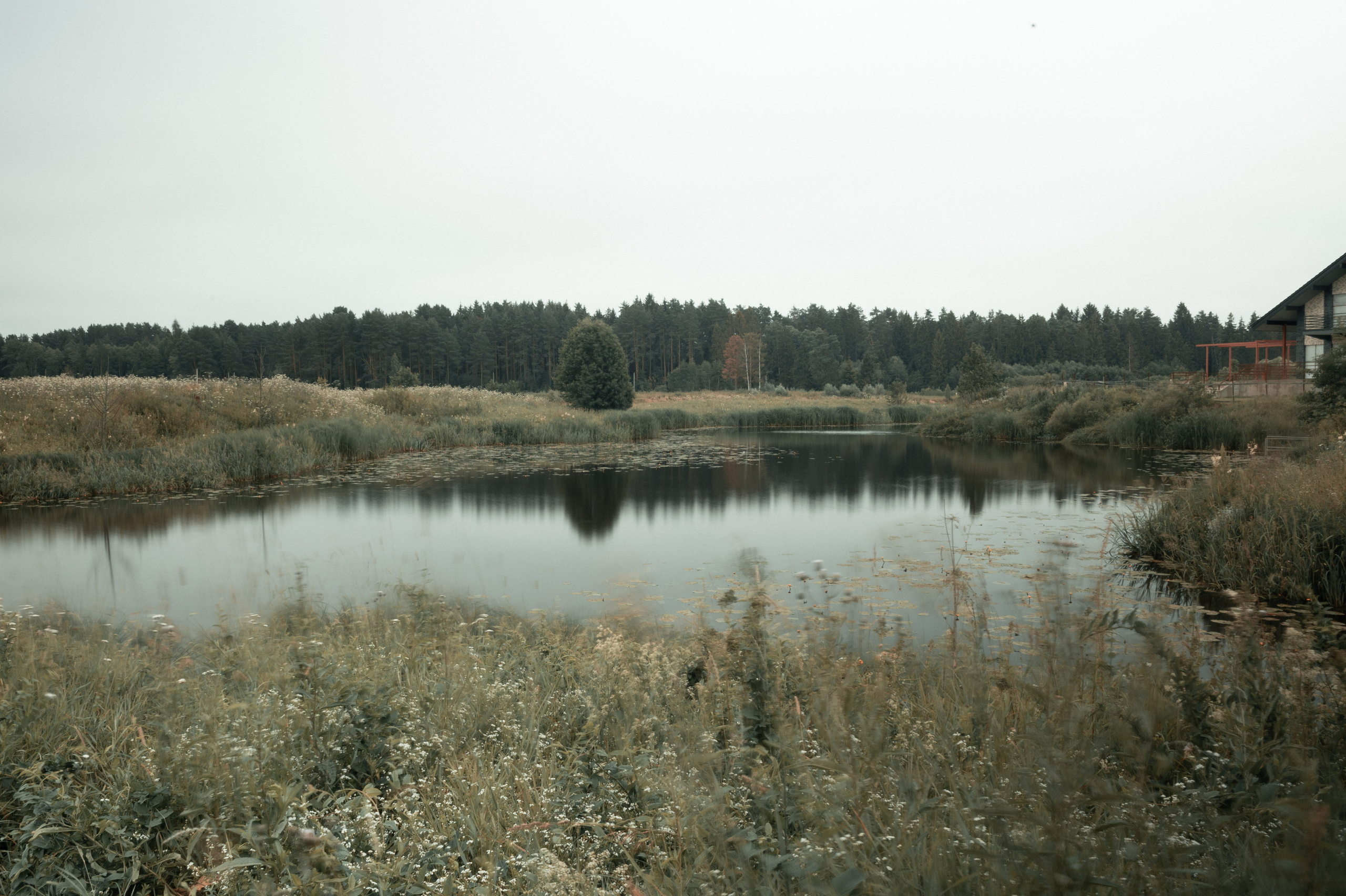 Фото пейзажа! Black tone effect. Автомобильный фотограф в Москве Денис Волков