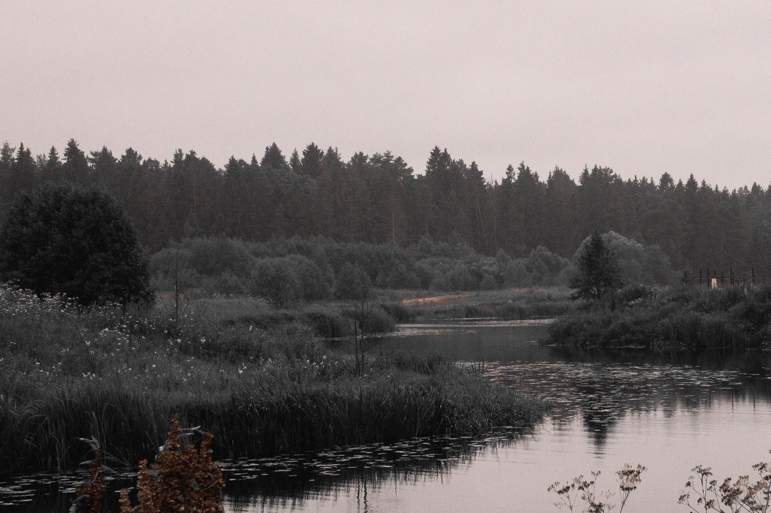 Фото пейзажа! Black tone effect. Автомобильный фотограф в Москве Денис Волков