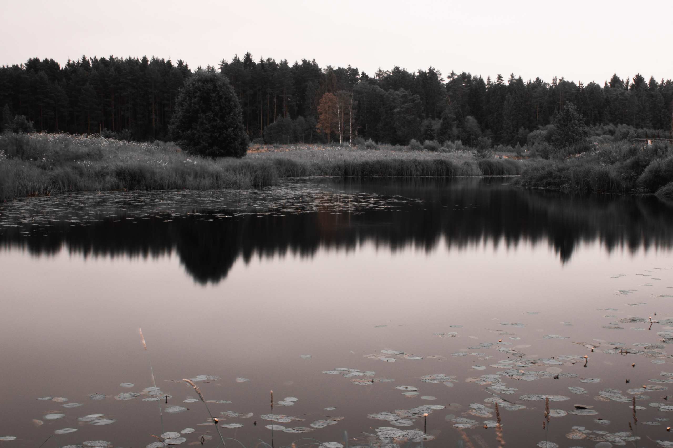 Фото пейзажа! Black tone effect. Автомобильный фотограф в Москве Денис Волков