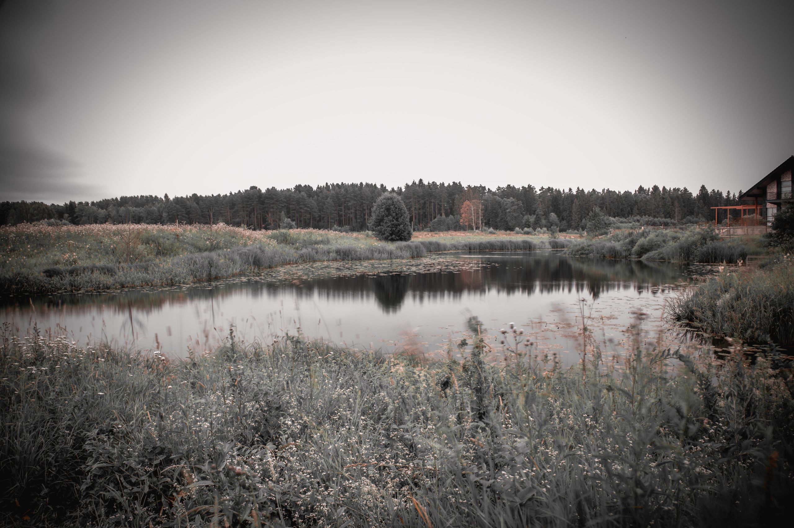 Фото пейзажа! Black tone effect. Автомобильный фотограф в Москве Денис Волков