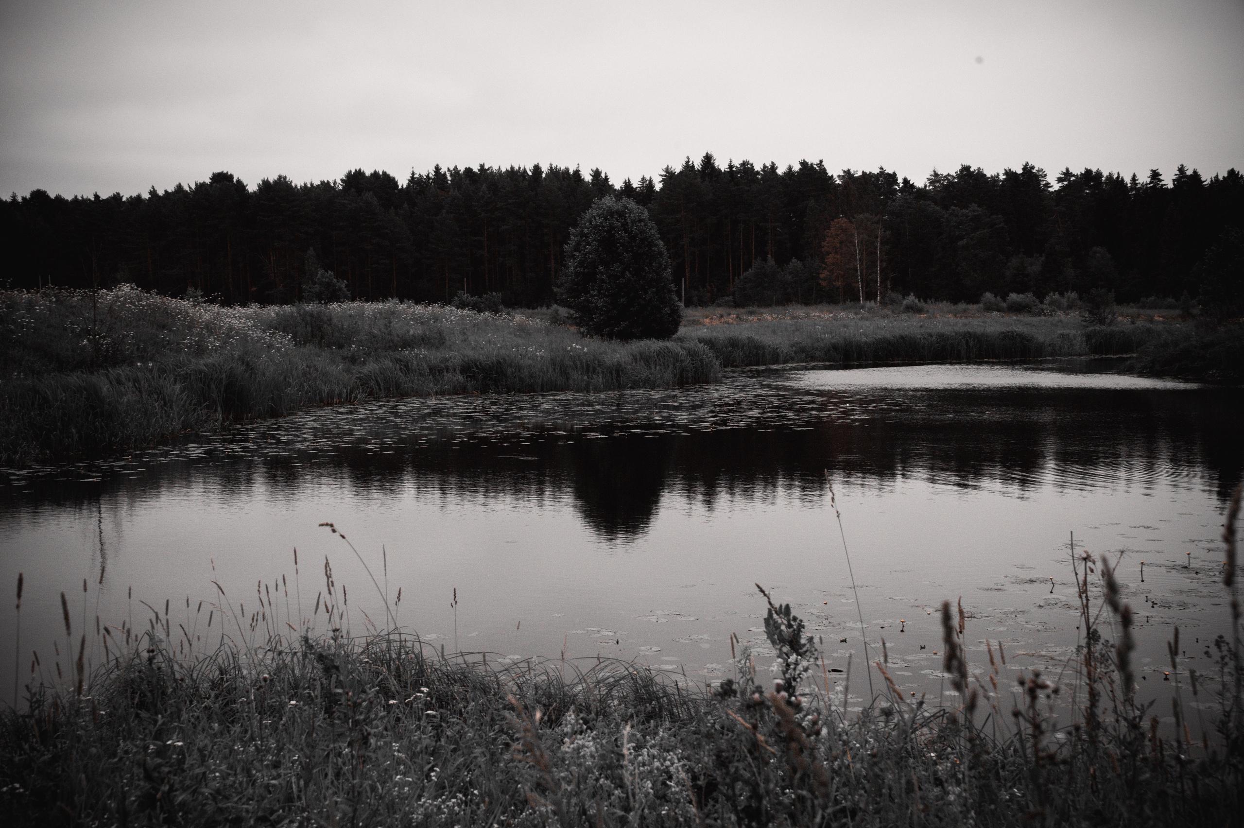 Фото пейзажа! Black tone effect. Автомобильный фотограф в Москве Денис Волков