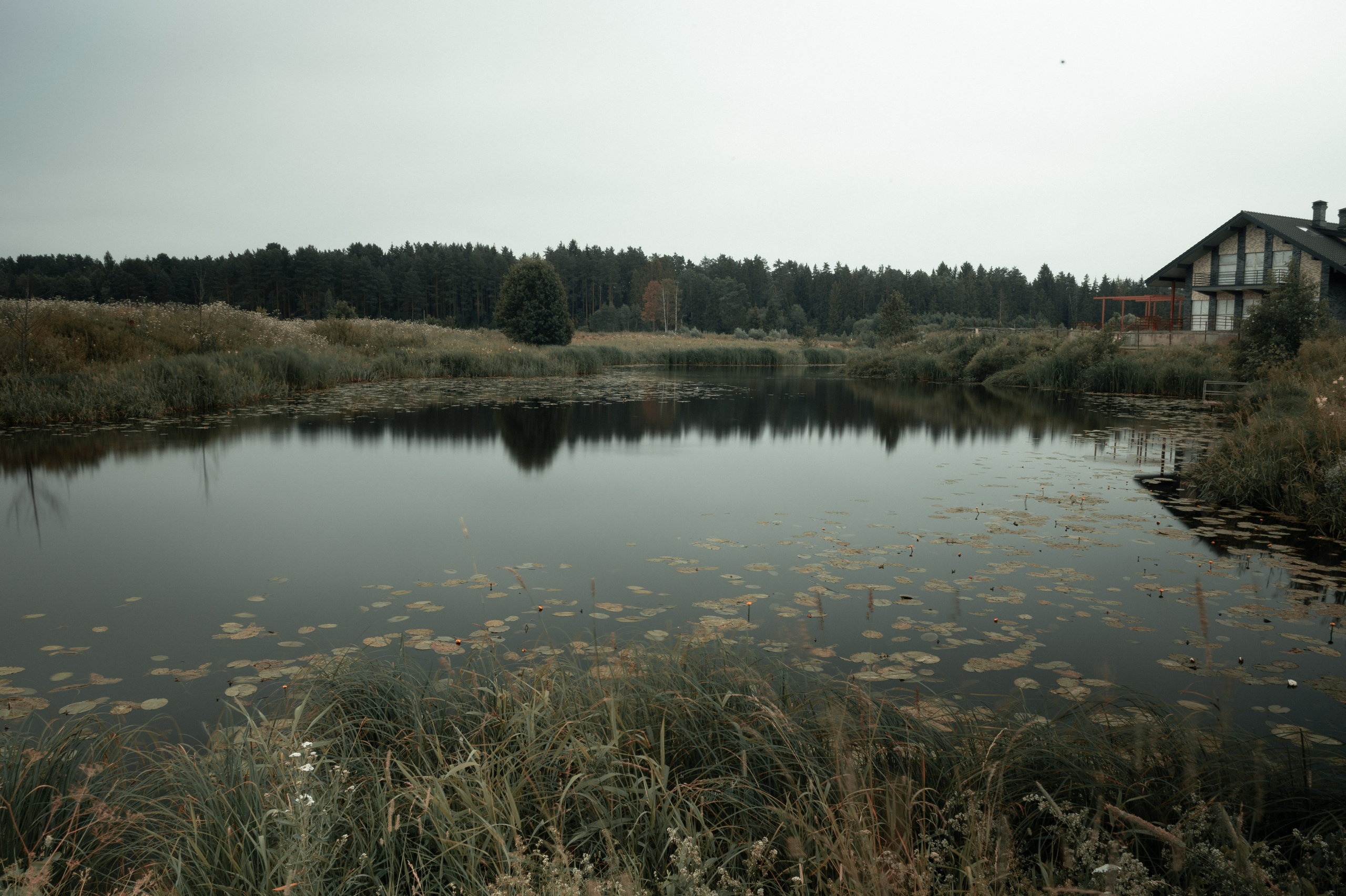 Фото пейзажа! Black tone effect. Автомобильный фотограф в Москве Денис Волков