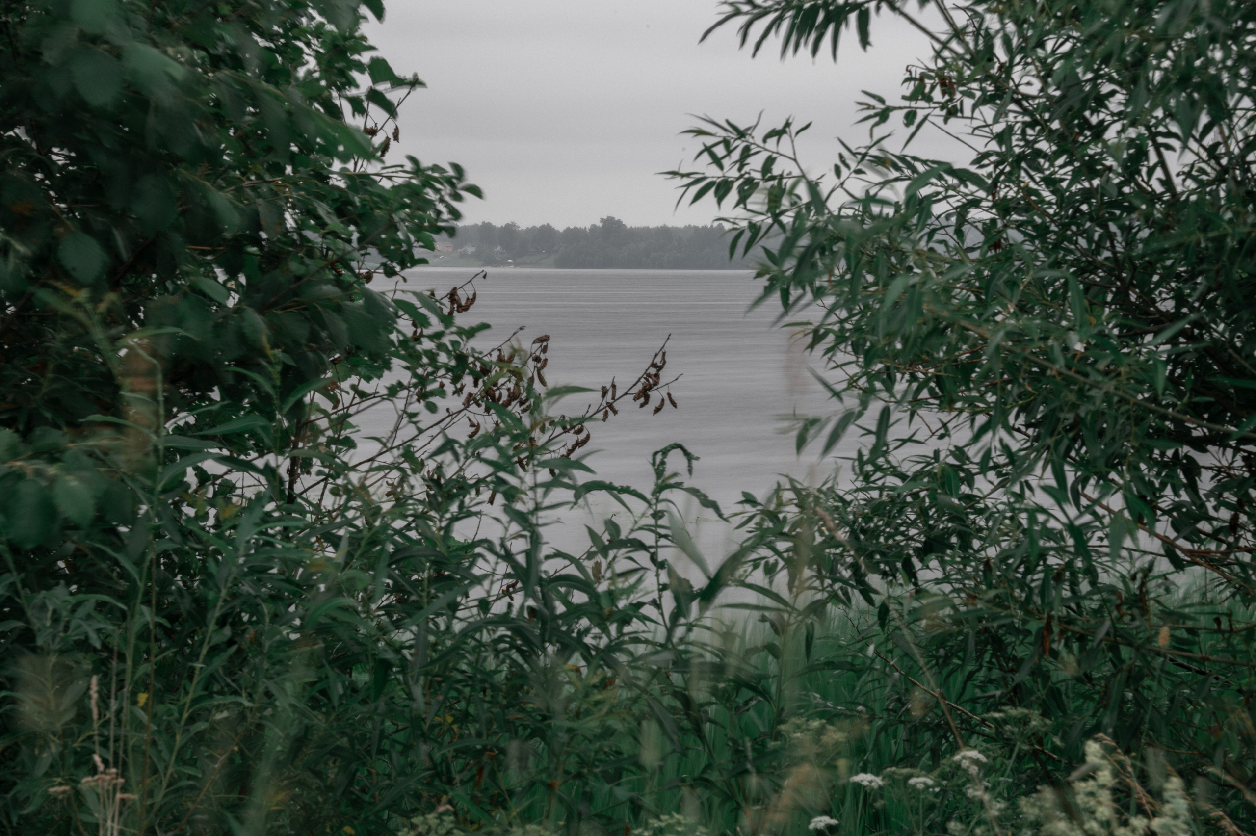 Фото пейзажа! Black tone effect. Автомобильный фотограф в Москве Денис Волков