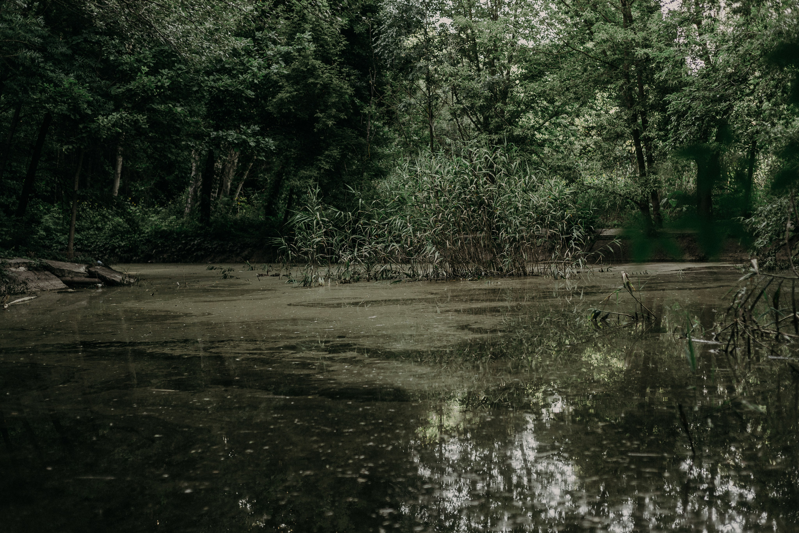 Ростов-на-Дону: через объектив фотографа из Гуанчжоу. Коммерческий и предметный фотограф в Гуанчжоу Коваленко Александр