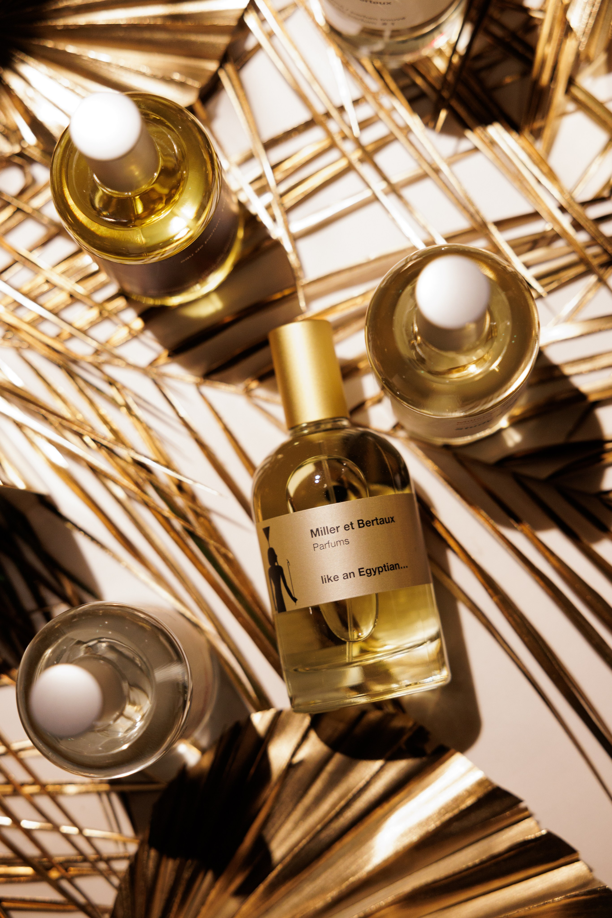 Miller et Bertaux. Светский фотограф — Анисина Ирина