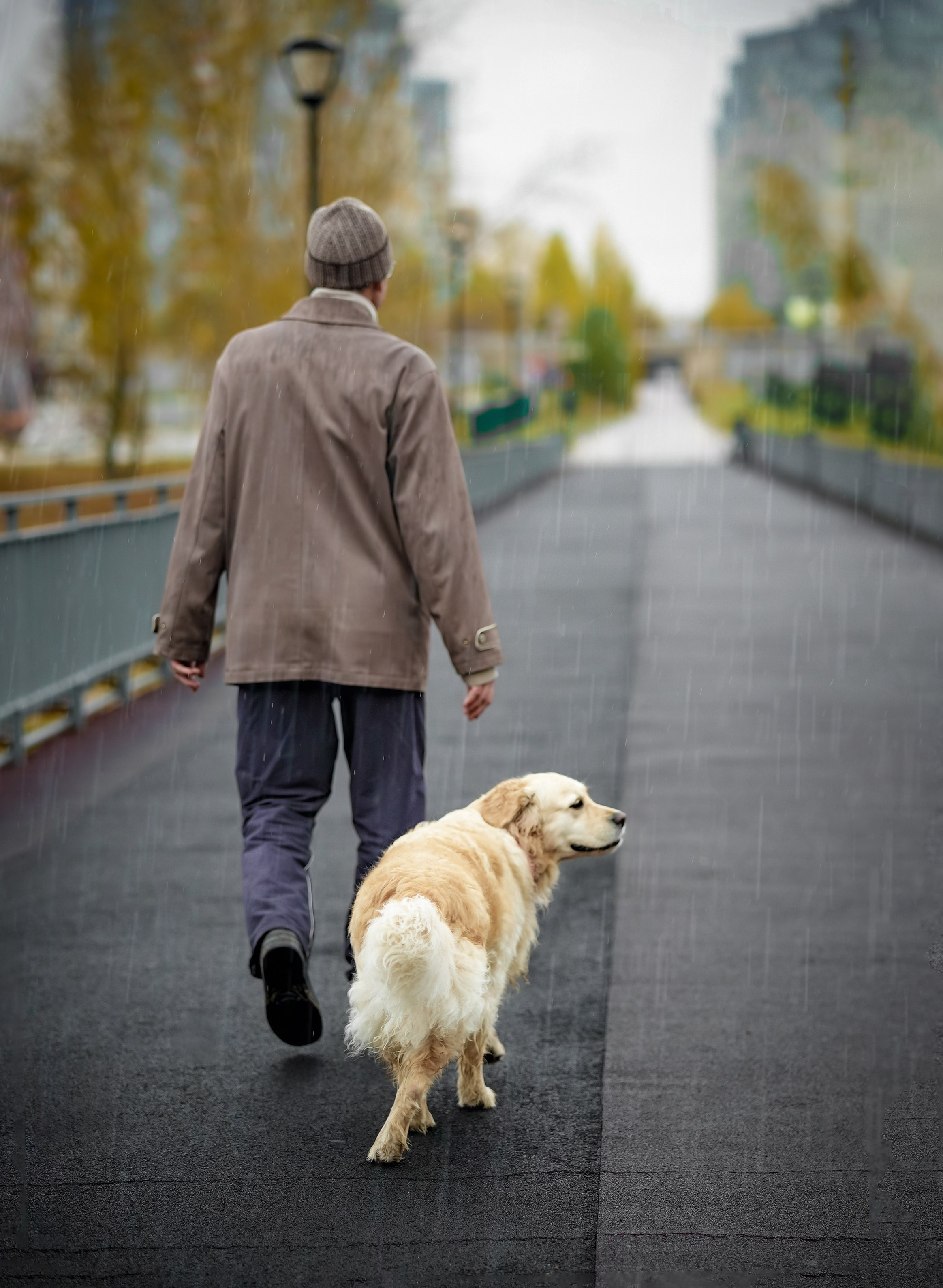 ПЕС. Фотограф Нижний Новгород Татьяна Кэйод