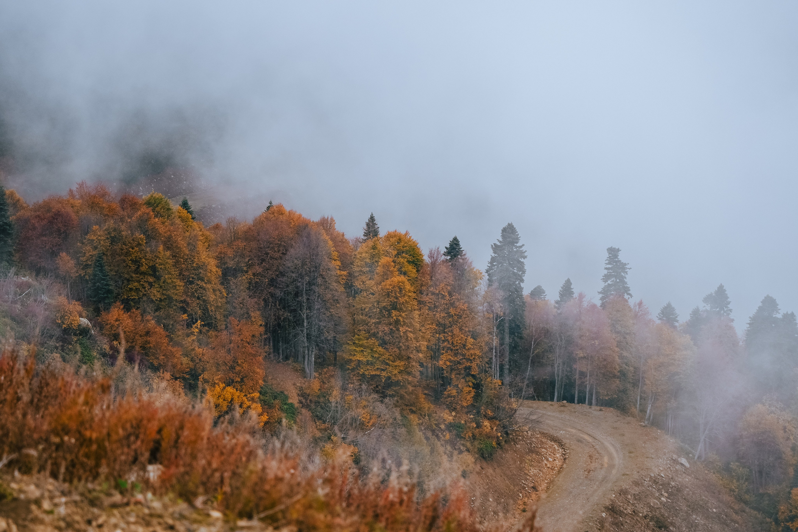 Роза Пик, тропа Турья ✽ Октябрь. Репортажный фотограф | Роза Хутор Красная Поляна Сочи Сириус