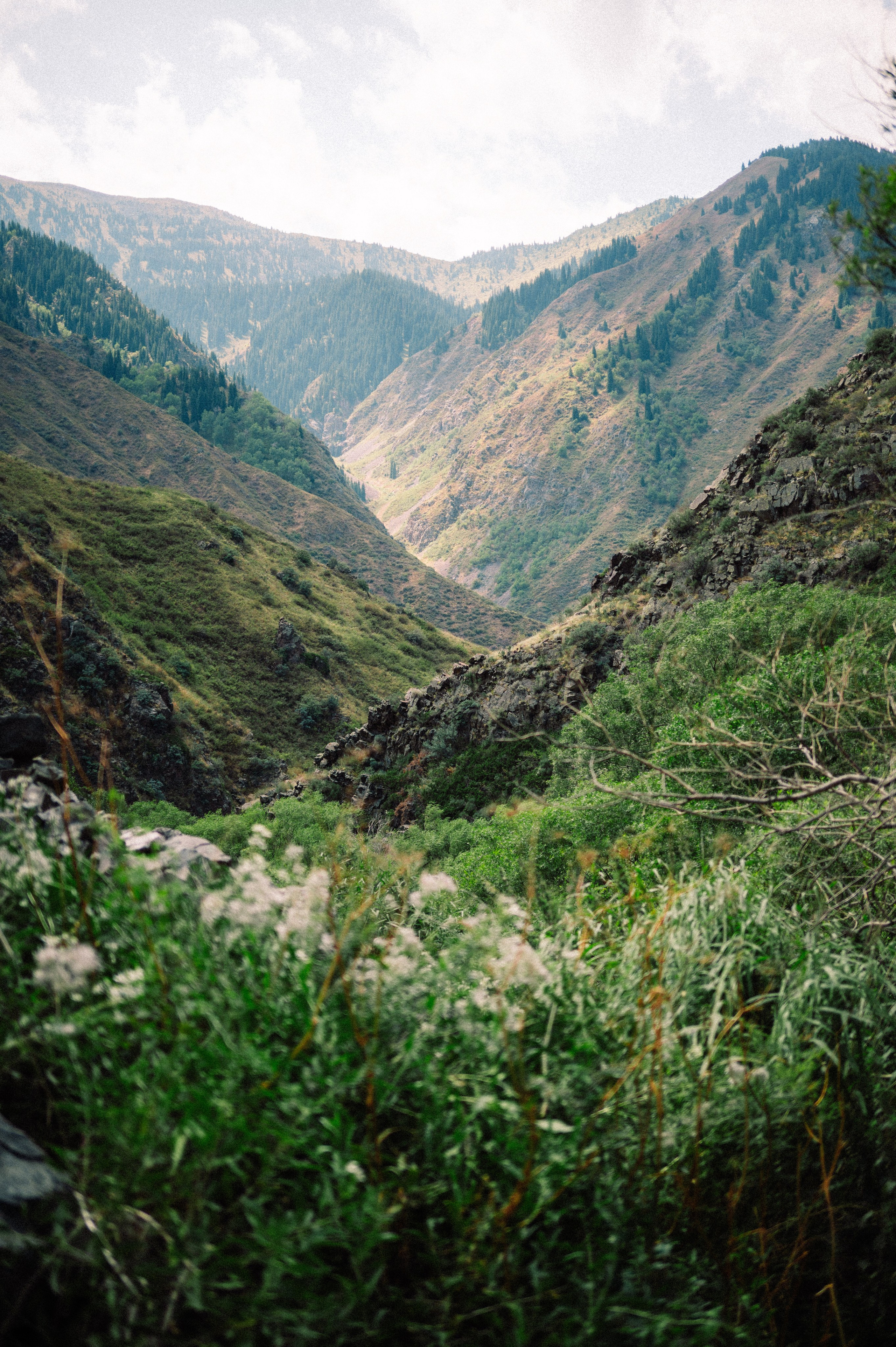 Плато Ассы: июль 2025. Фотограф в Алматы — Дарья Фёдорова