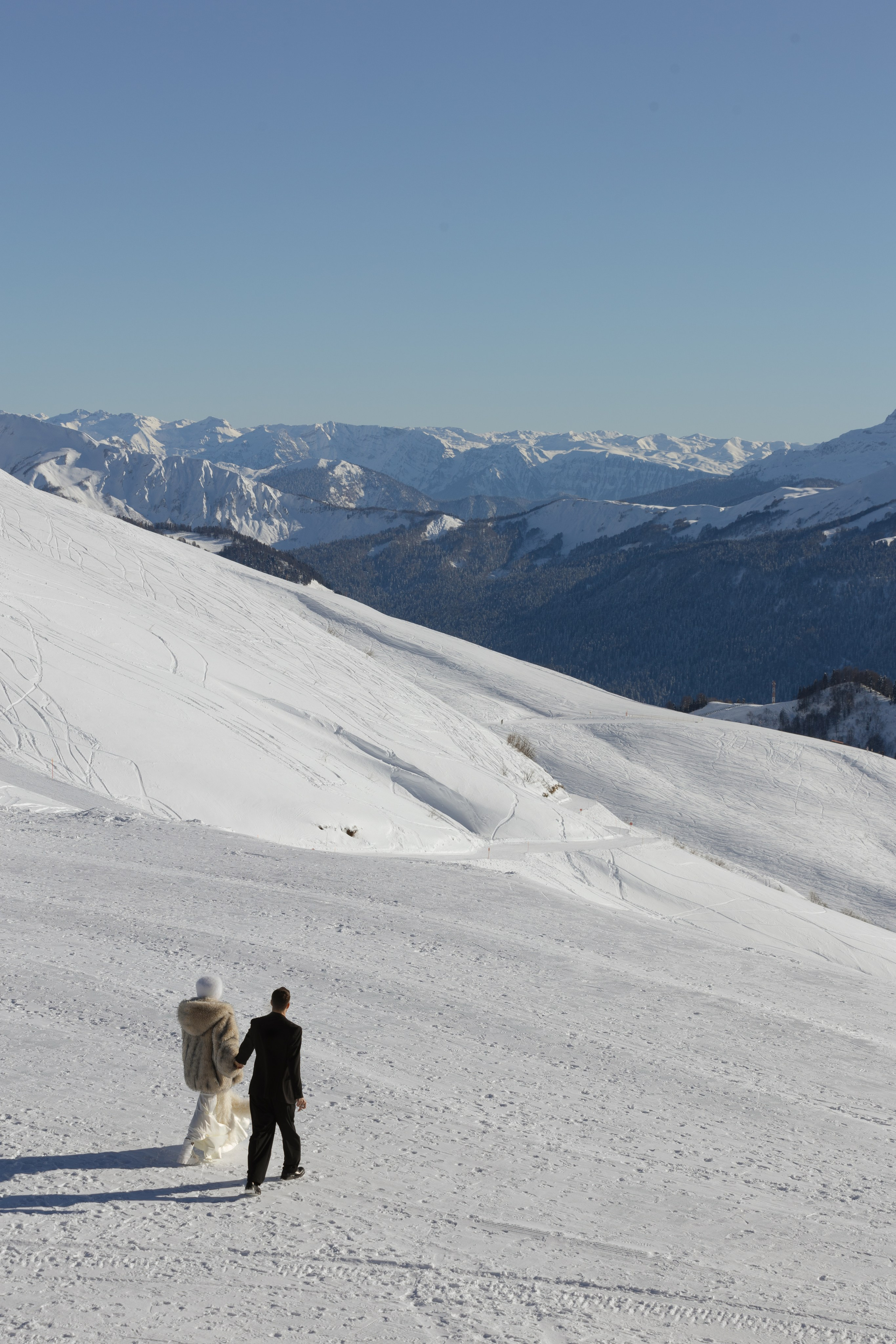 WS. @dariazphoto свадебный фотограф