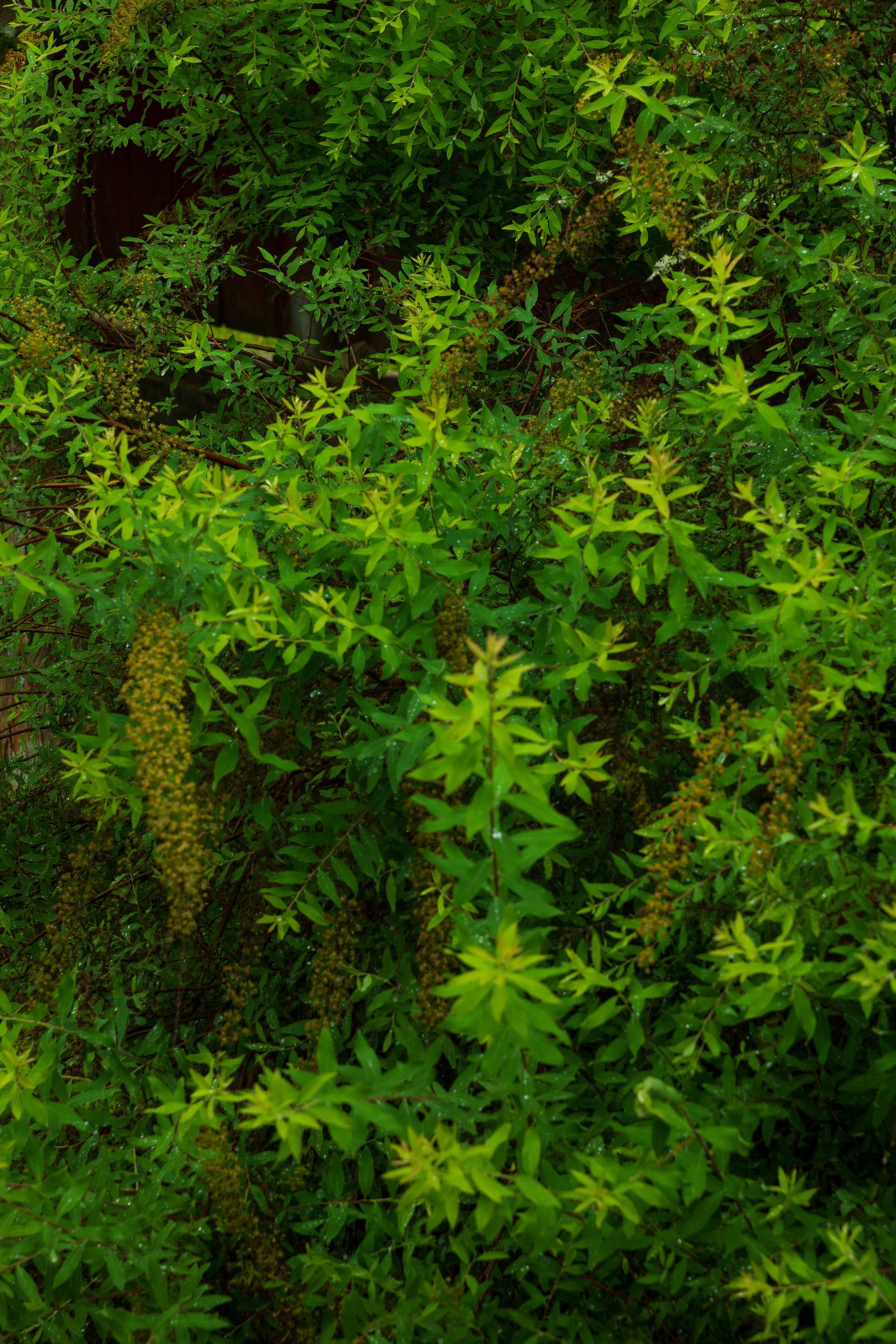 Dacha vibes. Папка кадров 📁