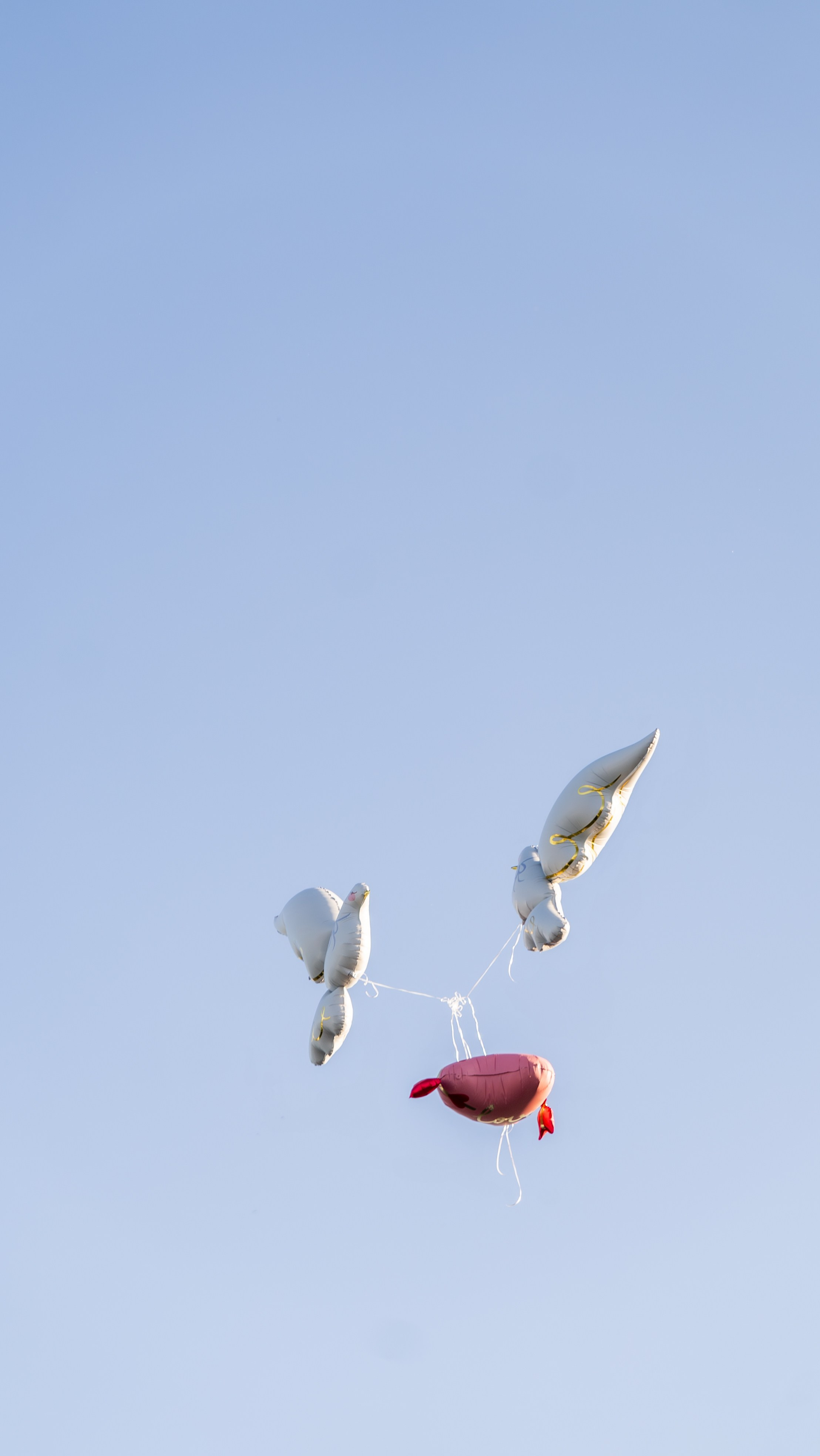 Алина и Арсений. Фотограф и видеограф Андрей Кукишев