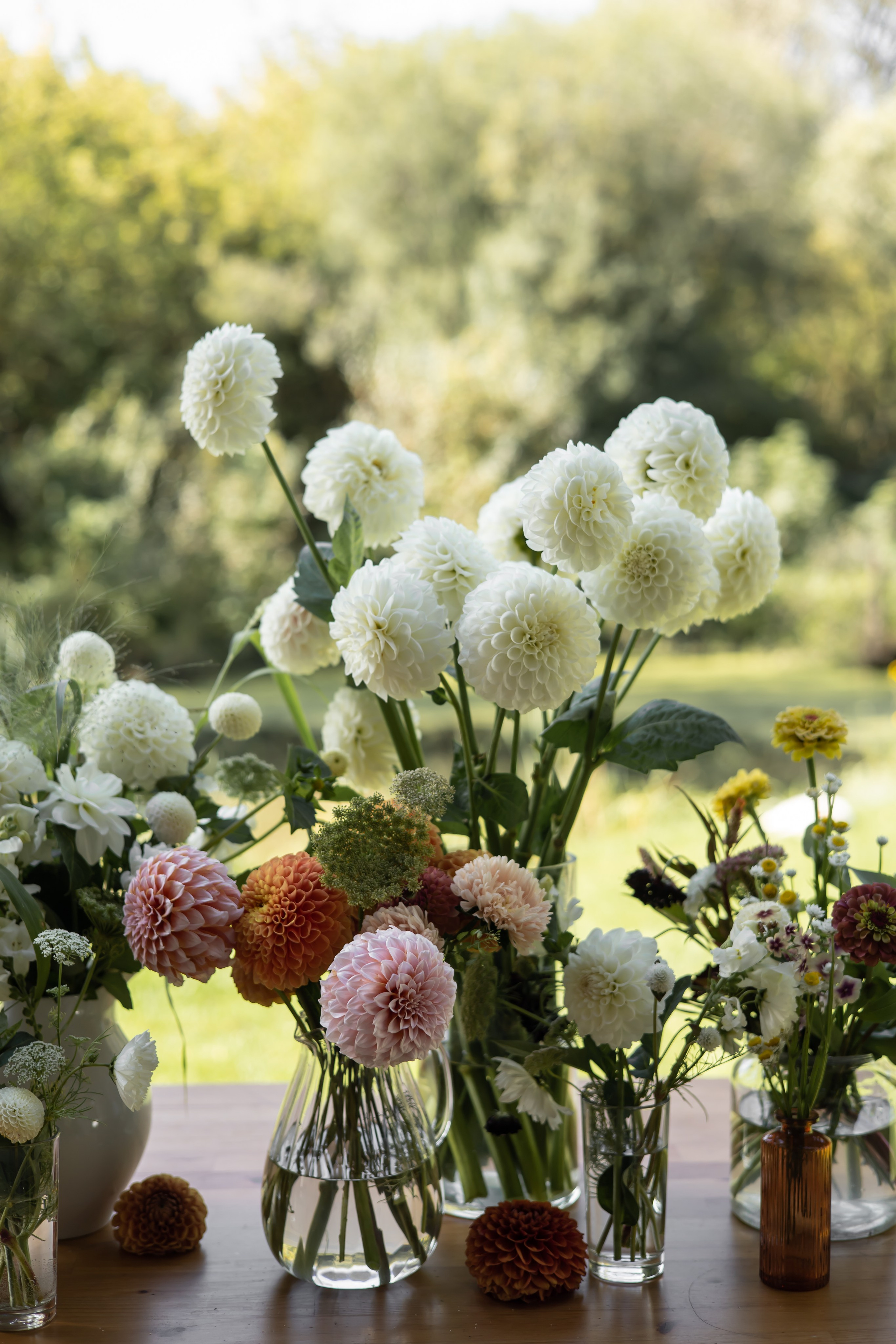 ДИНИЯ. Фотограф Элла Ефимова