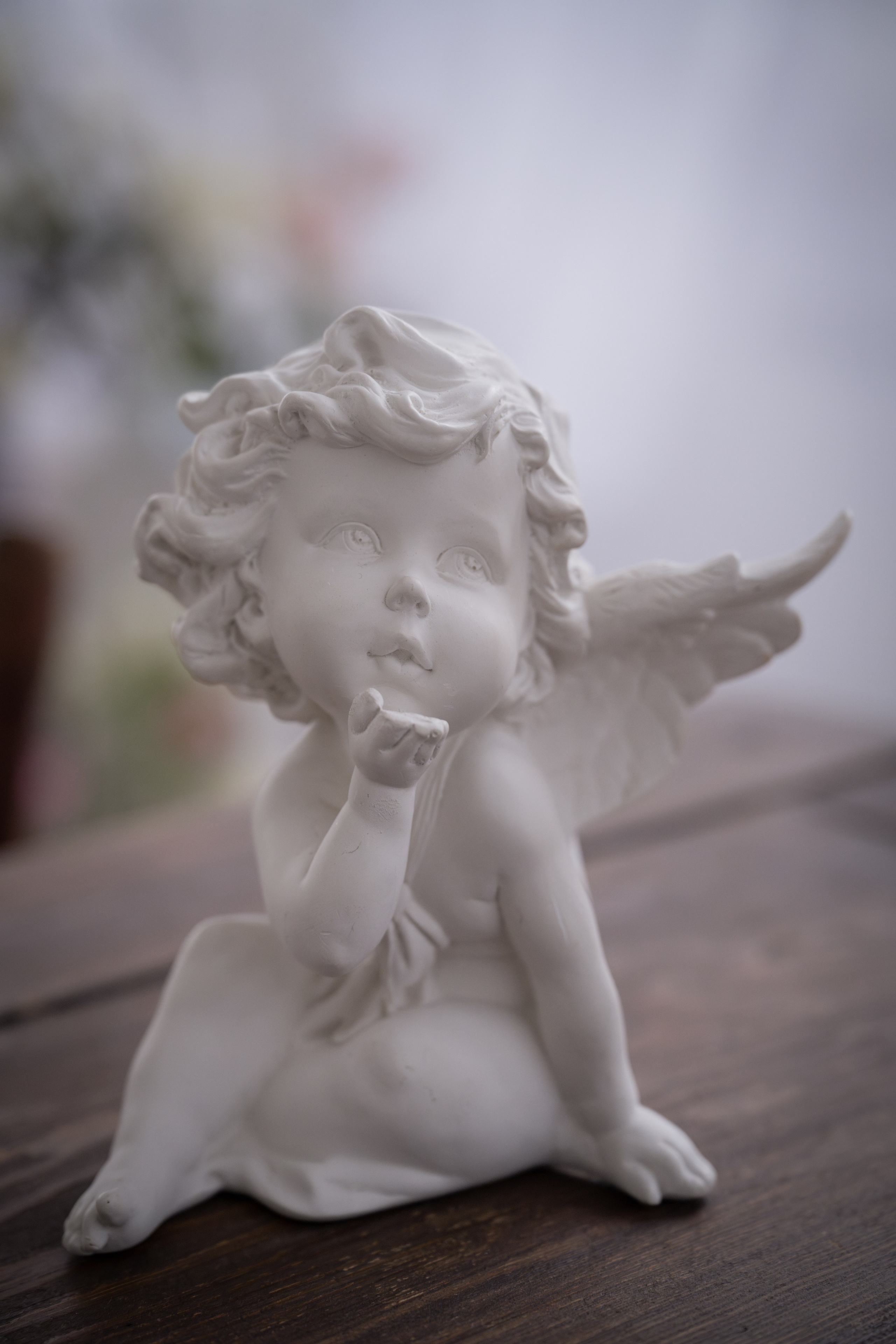 Марина, весенняя. Детский и семейный фотограф в Санкт-Петербурге и Ярославле Павлова Гал