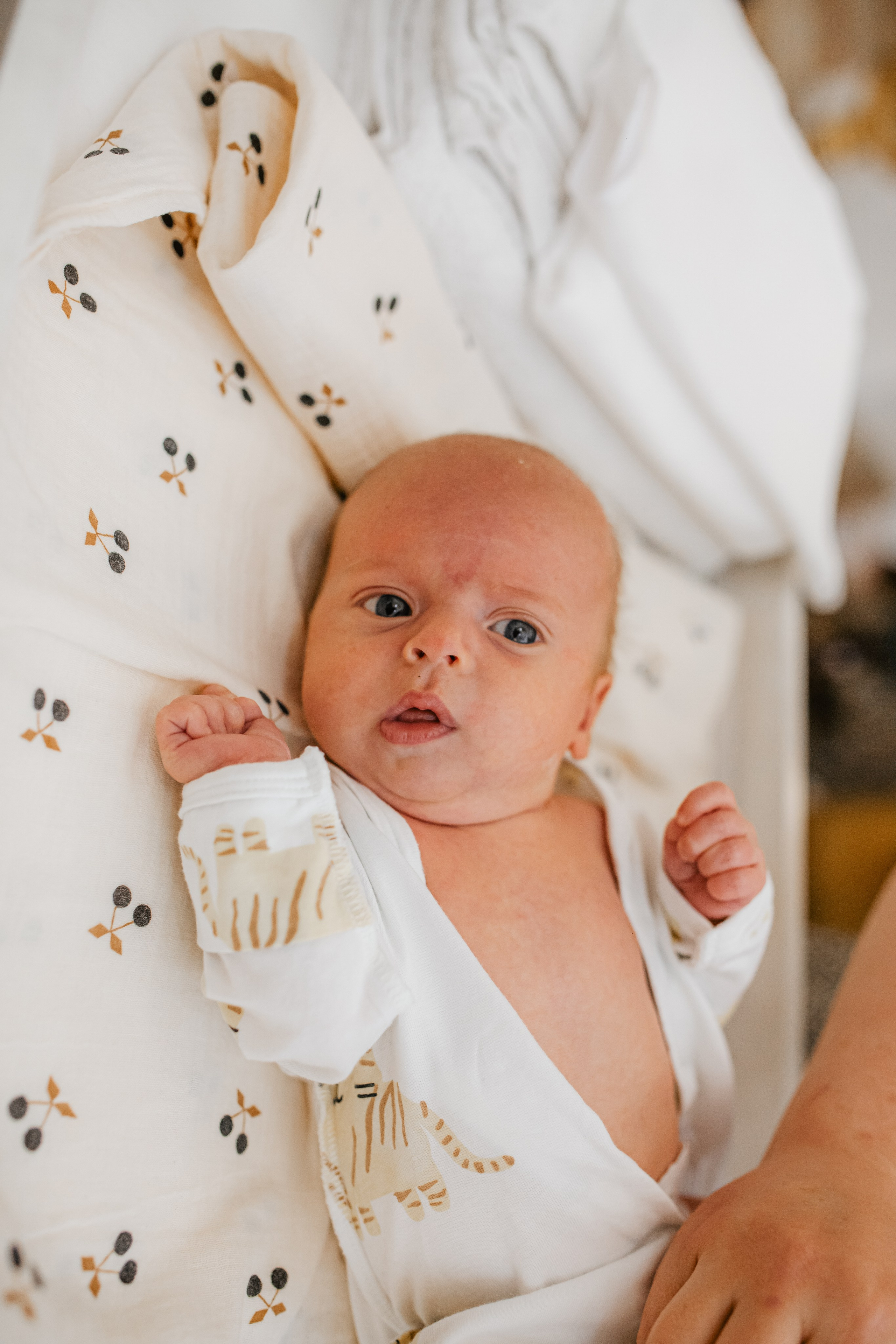 Храм великомученика Димитрия Солунского на Благуше м. Семеновская. Свадебный и семейный фотограф