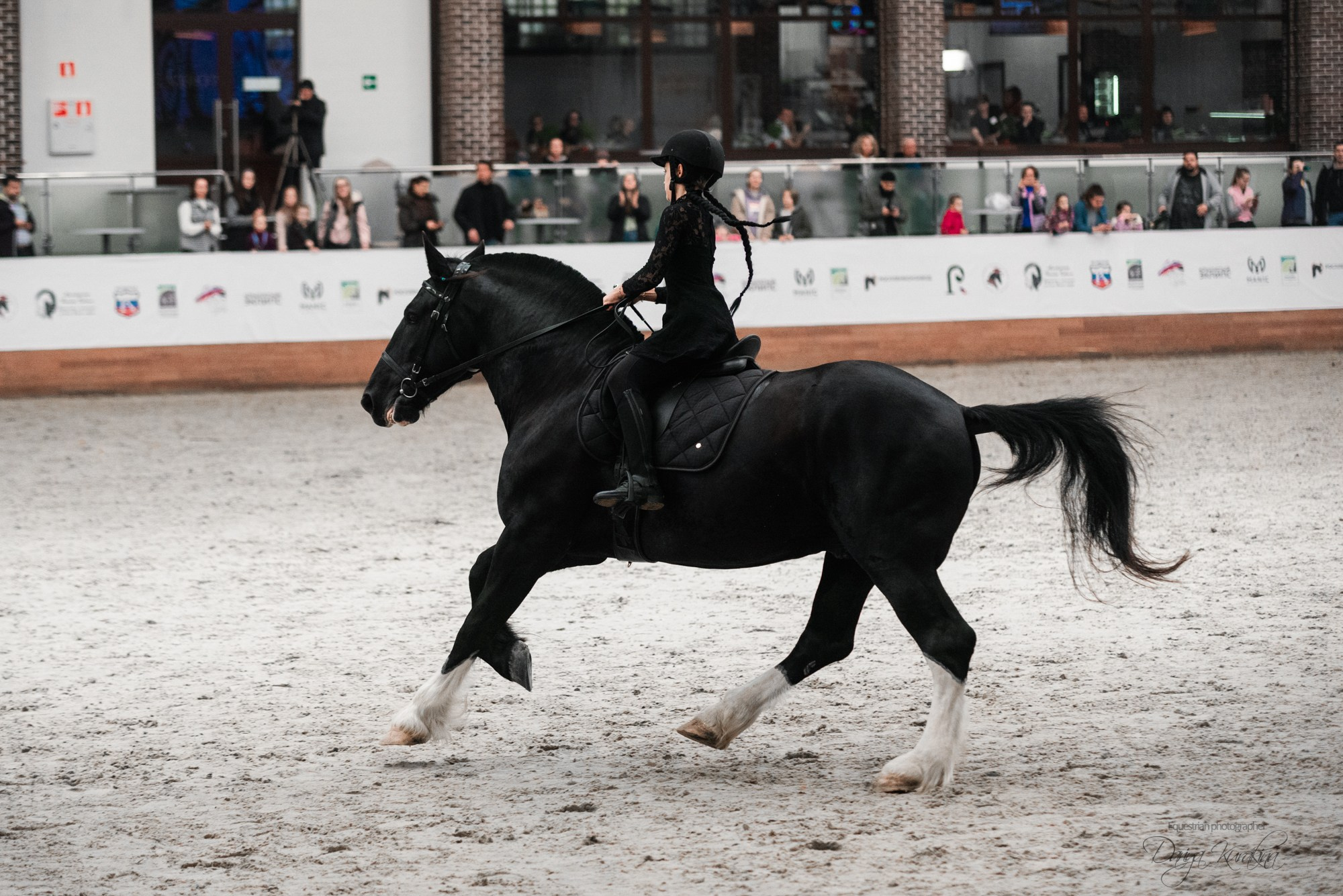 8-я международная выставка Конная Россия. Конный фотограф Куракина Дарья • Фотосессии с лошадьми