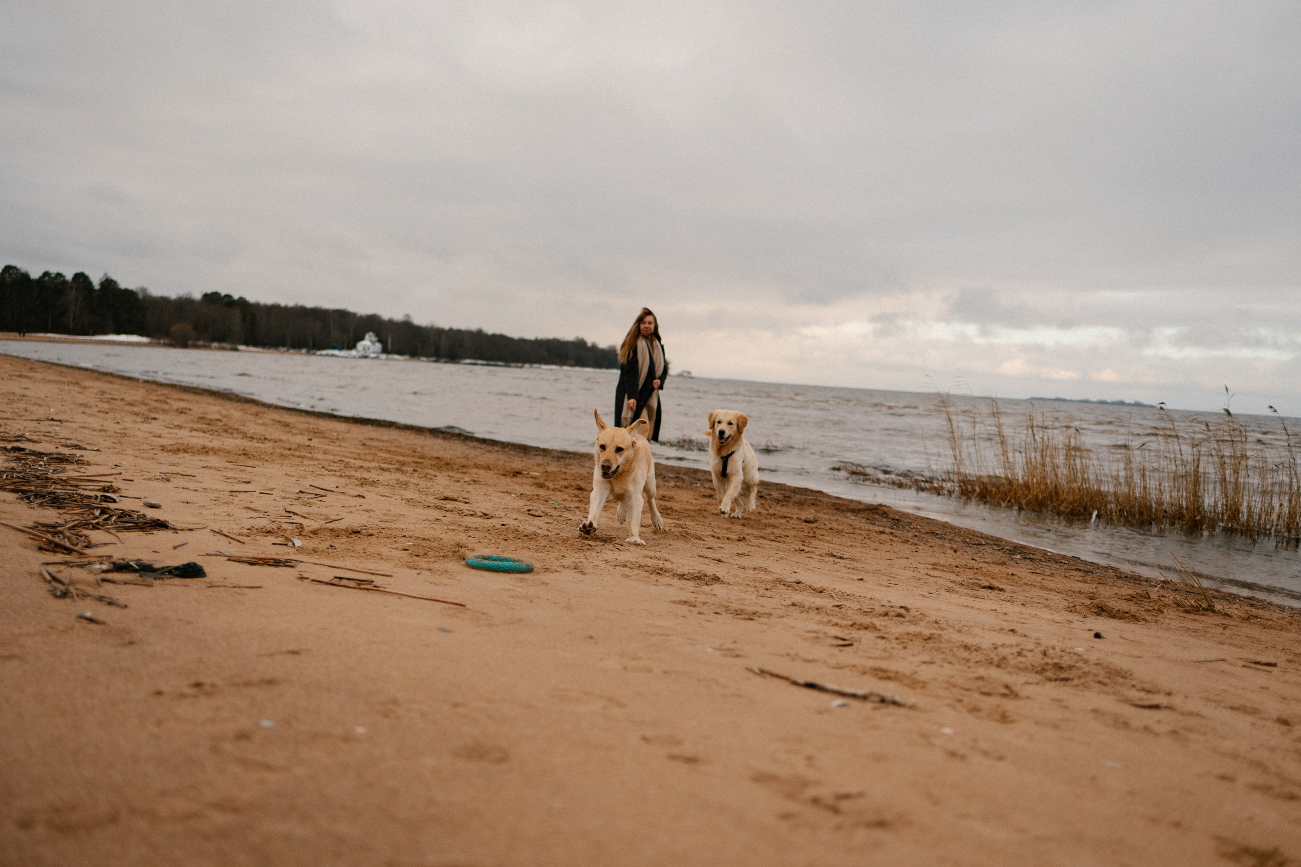 Ирина и Бася. Фотограф — Анималист | Санкт-Петербург