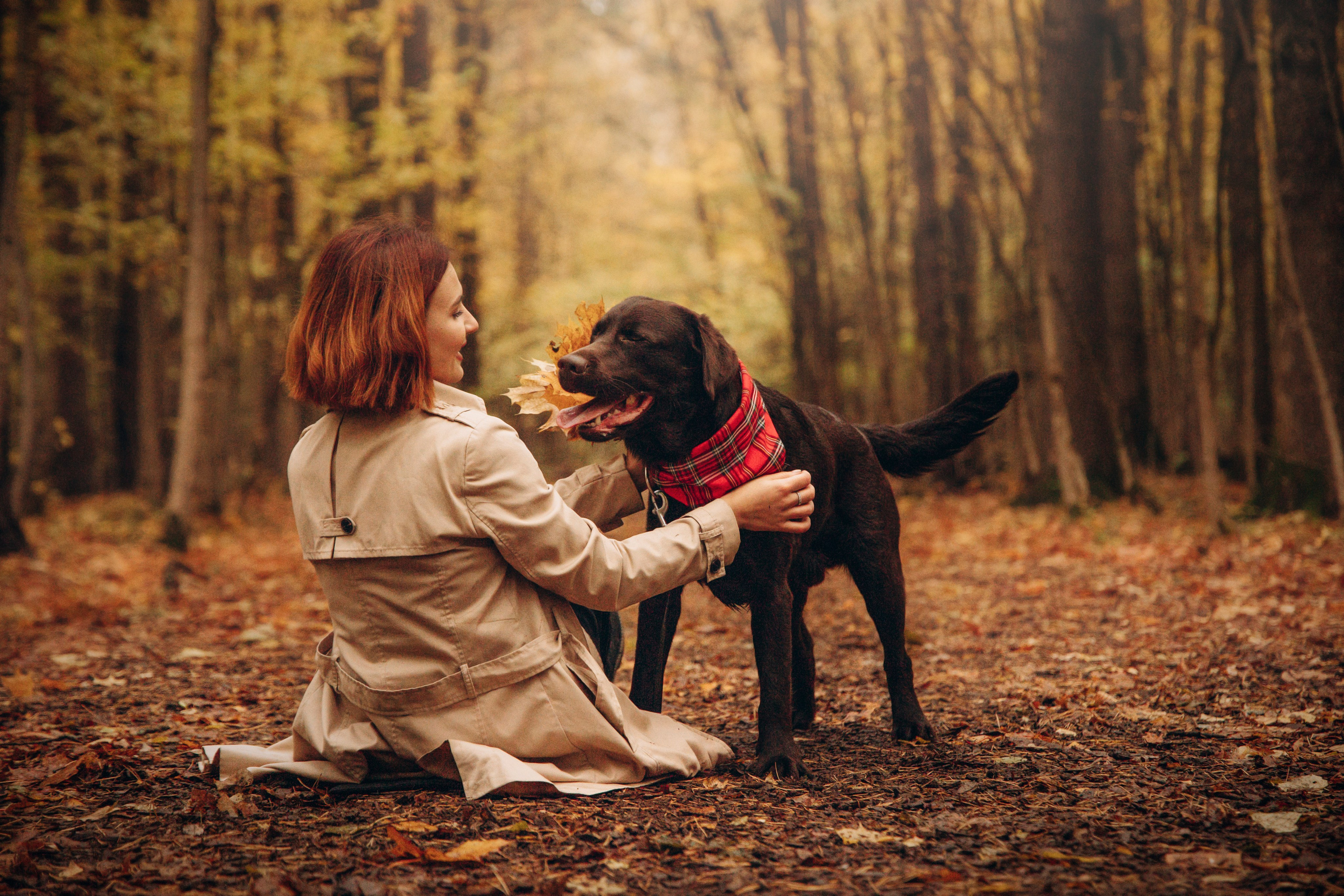 Арина и Сэмми. Фотограф — Анималист | Санкт-Петербург