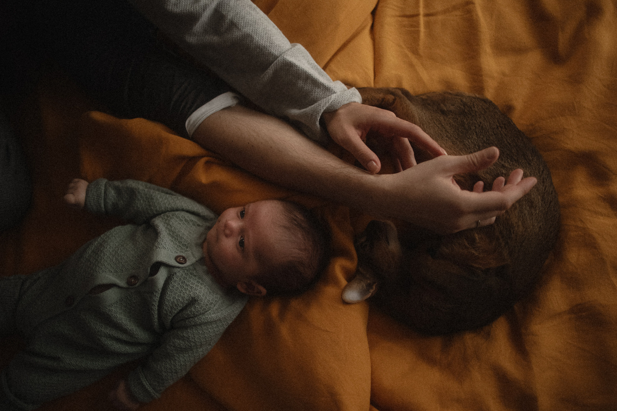 Семейные истории. Свадебный и семейный фотограф Москва, Спб, Крым Игорь Сазонов