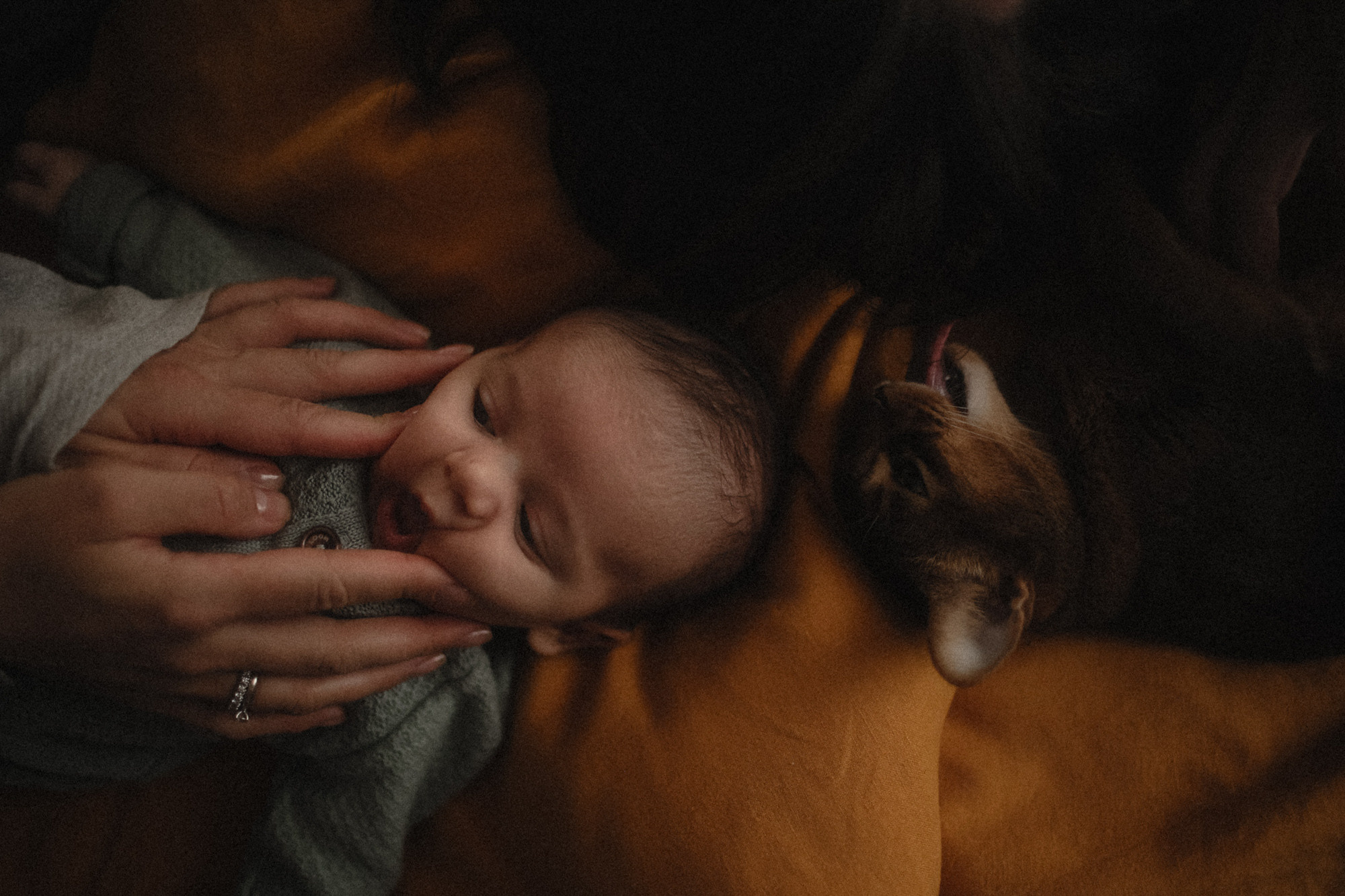 Семейные истории. Свадебный и семейный фотограф Москва, Спб, Крым Игорь Сазонов