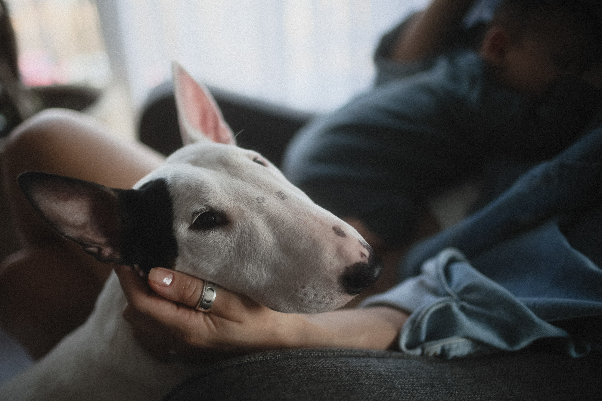 Семейные истории. Свадебный и семейный фотограф Москва, Спб, Крым Игорь Сазонов