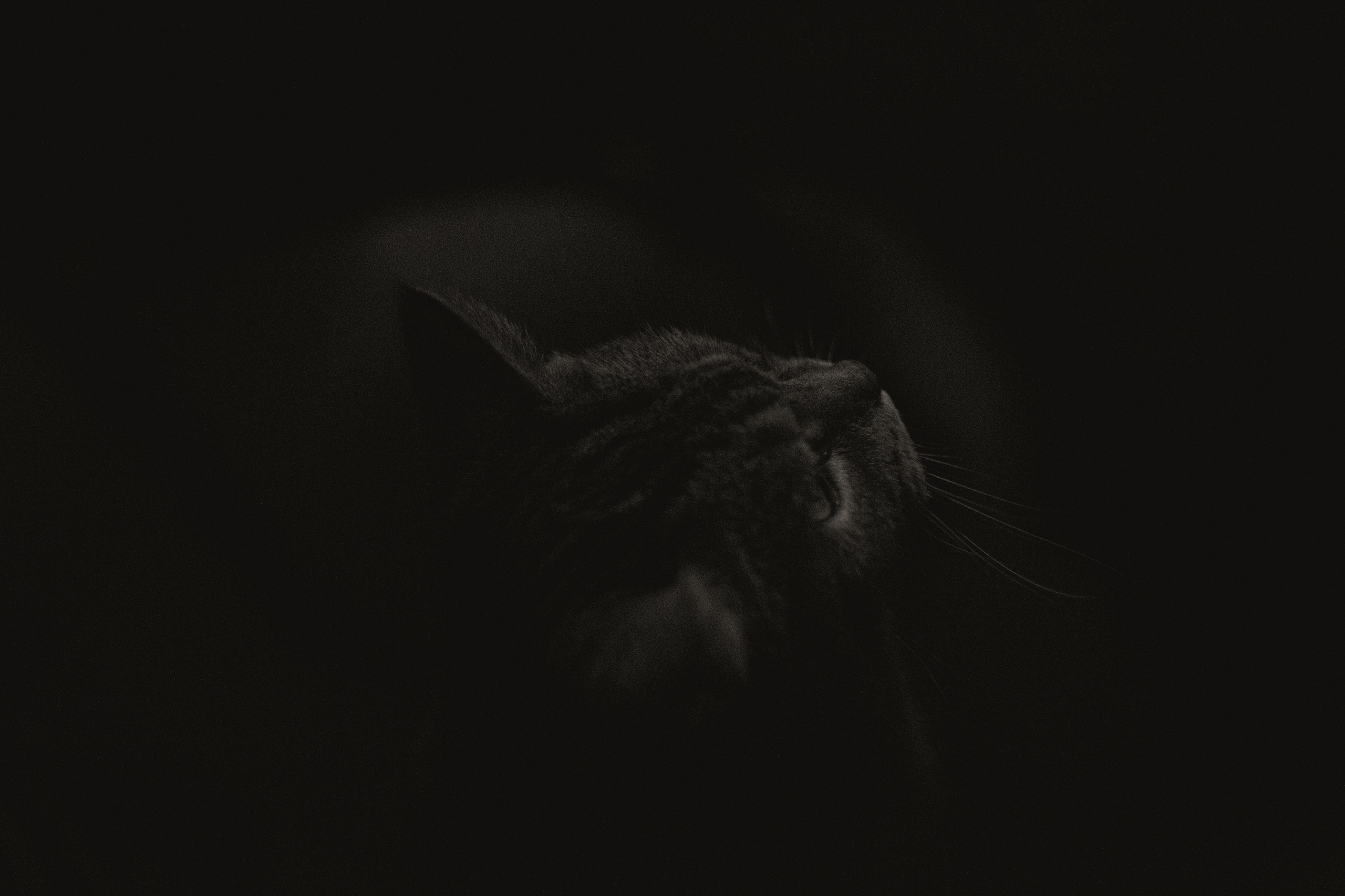 Характер. Dmitriy [KCCC] is a pretty cool photographer