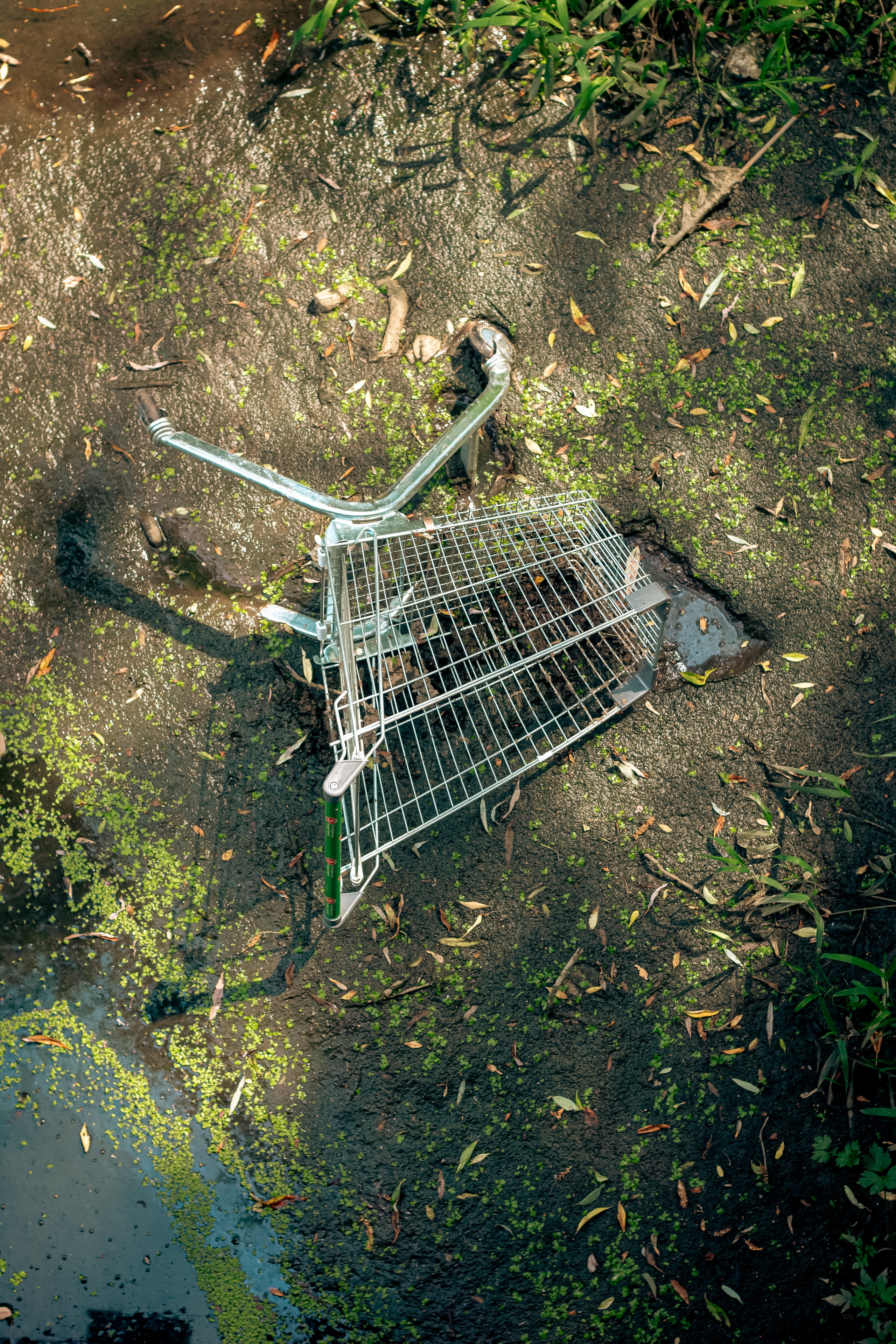 Лето 2024. Dmitriy [KCCC] is a pretty cool photographer