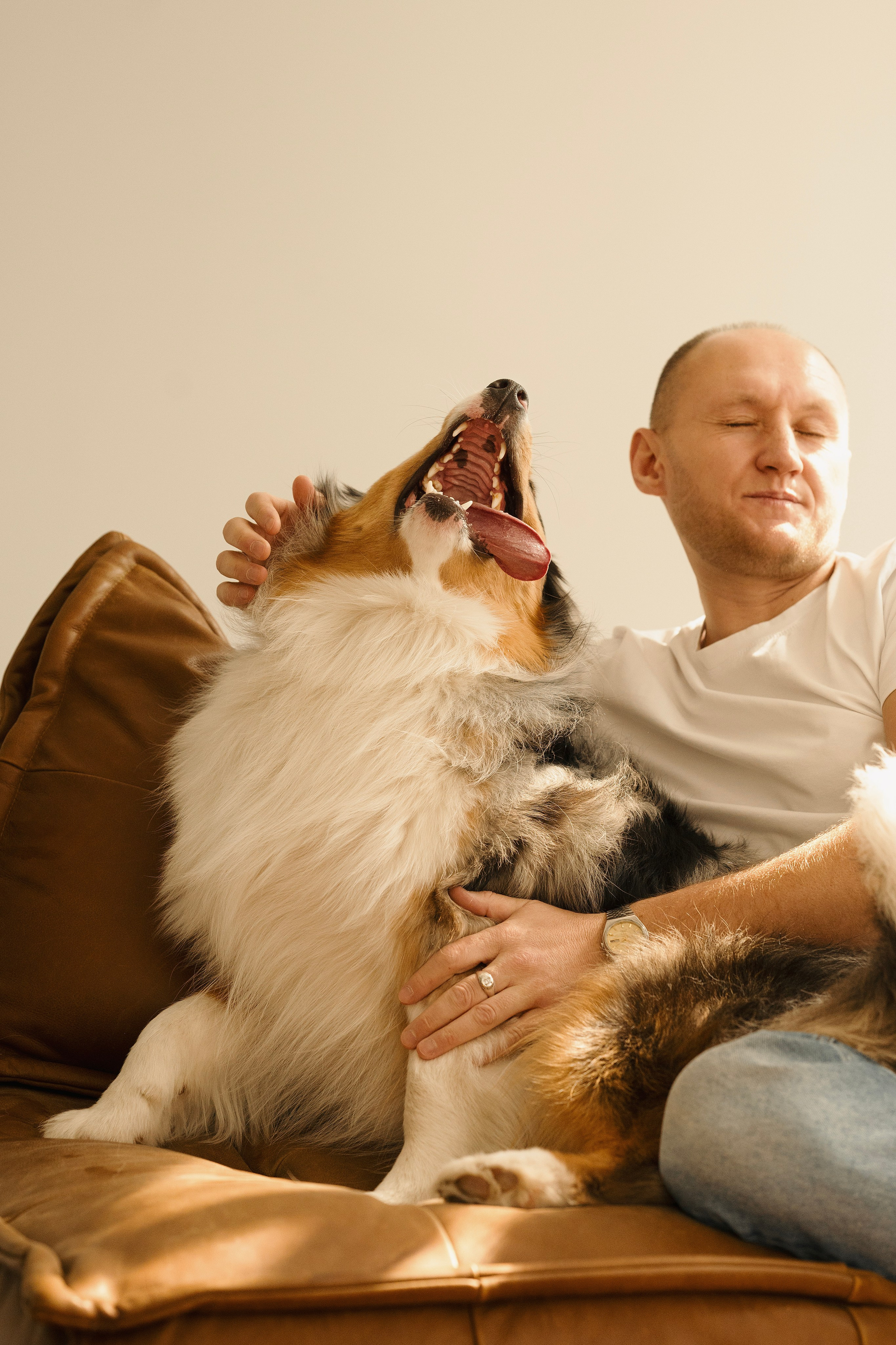 Зевс. Фотограф- анималист Александра Матвеева