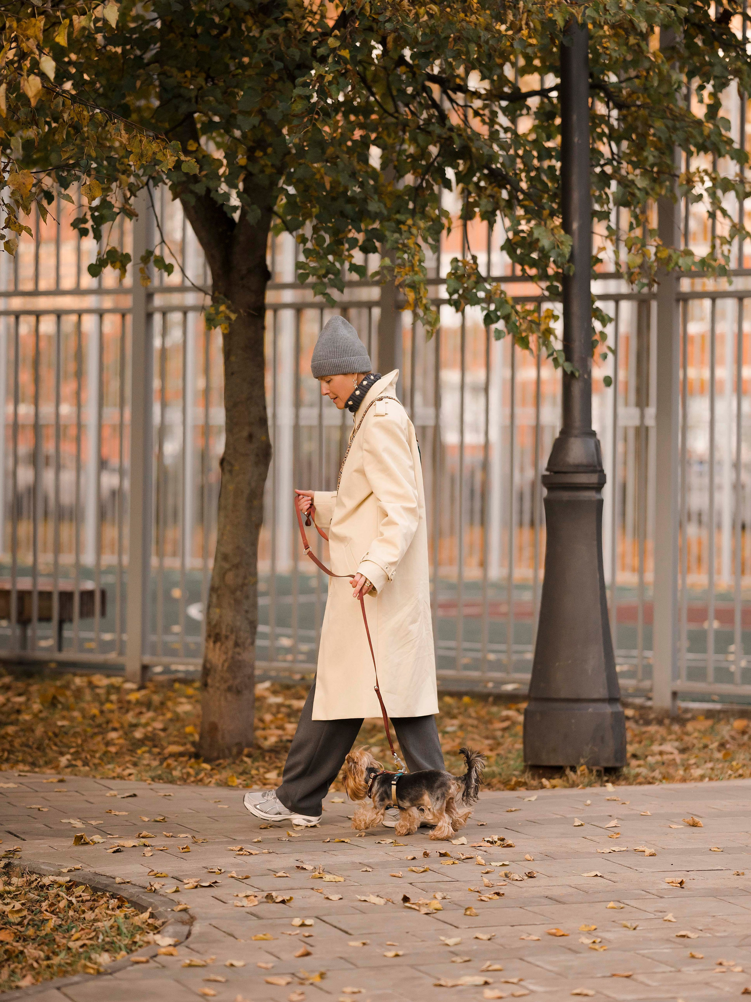 Шарик дог. Фотограф- анималист Александра Матвеева