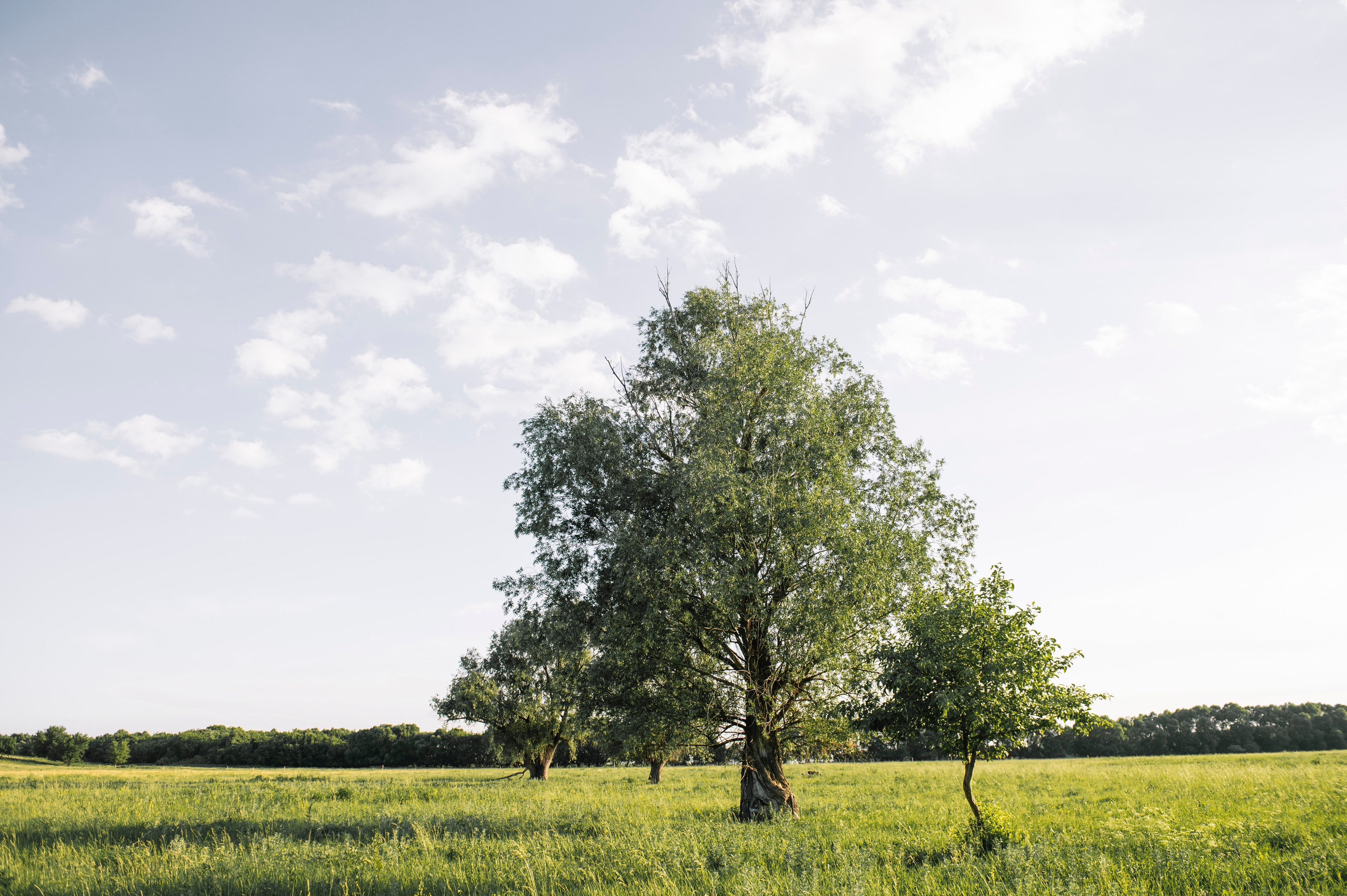 Дима Настя Миша. Фотограф Дарья Семина