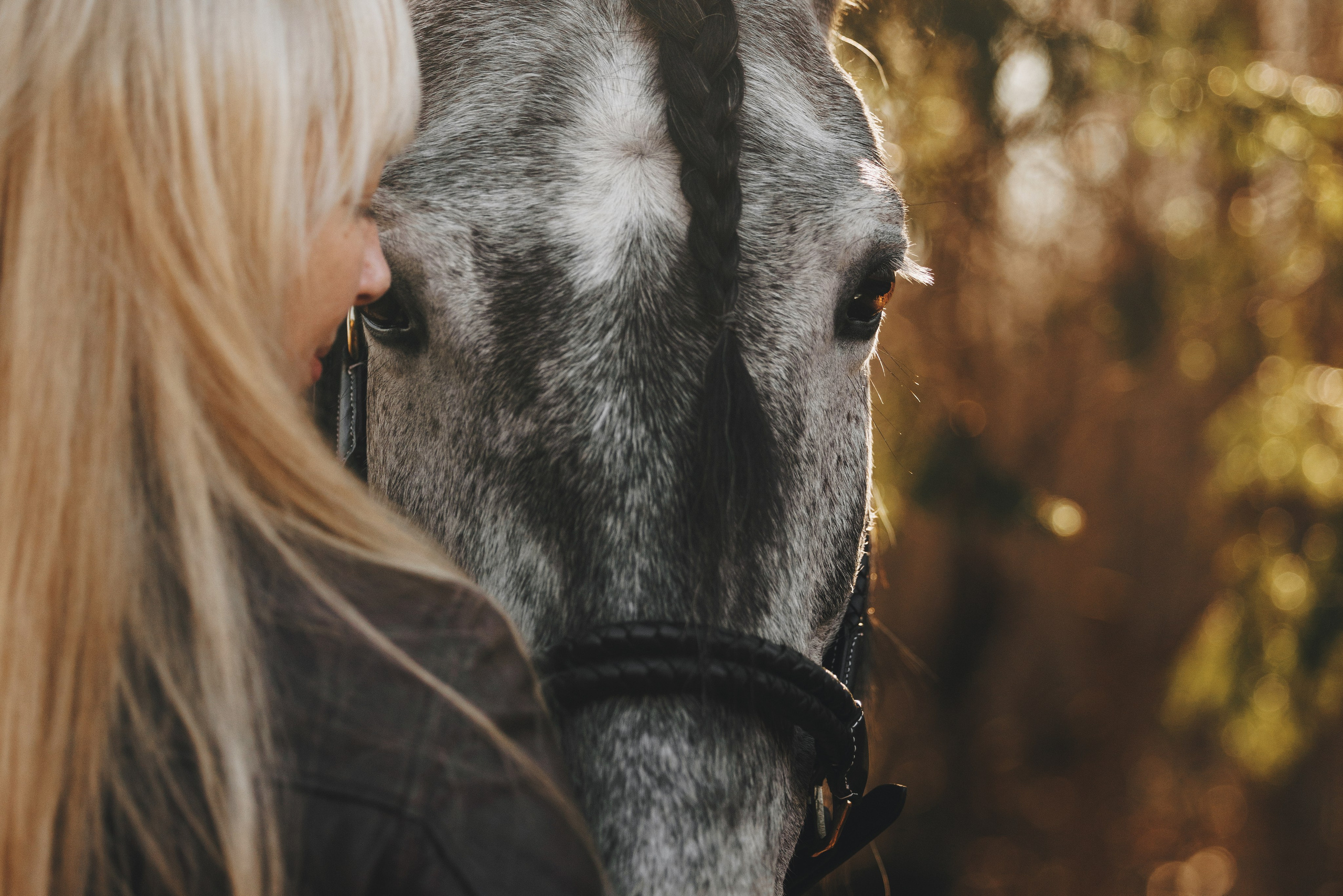 Ирина и Командор. Фотограф анималист Осипчикова Мария