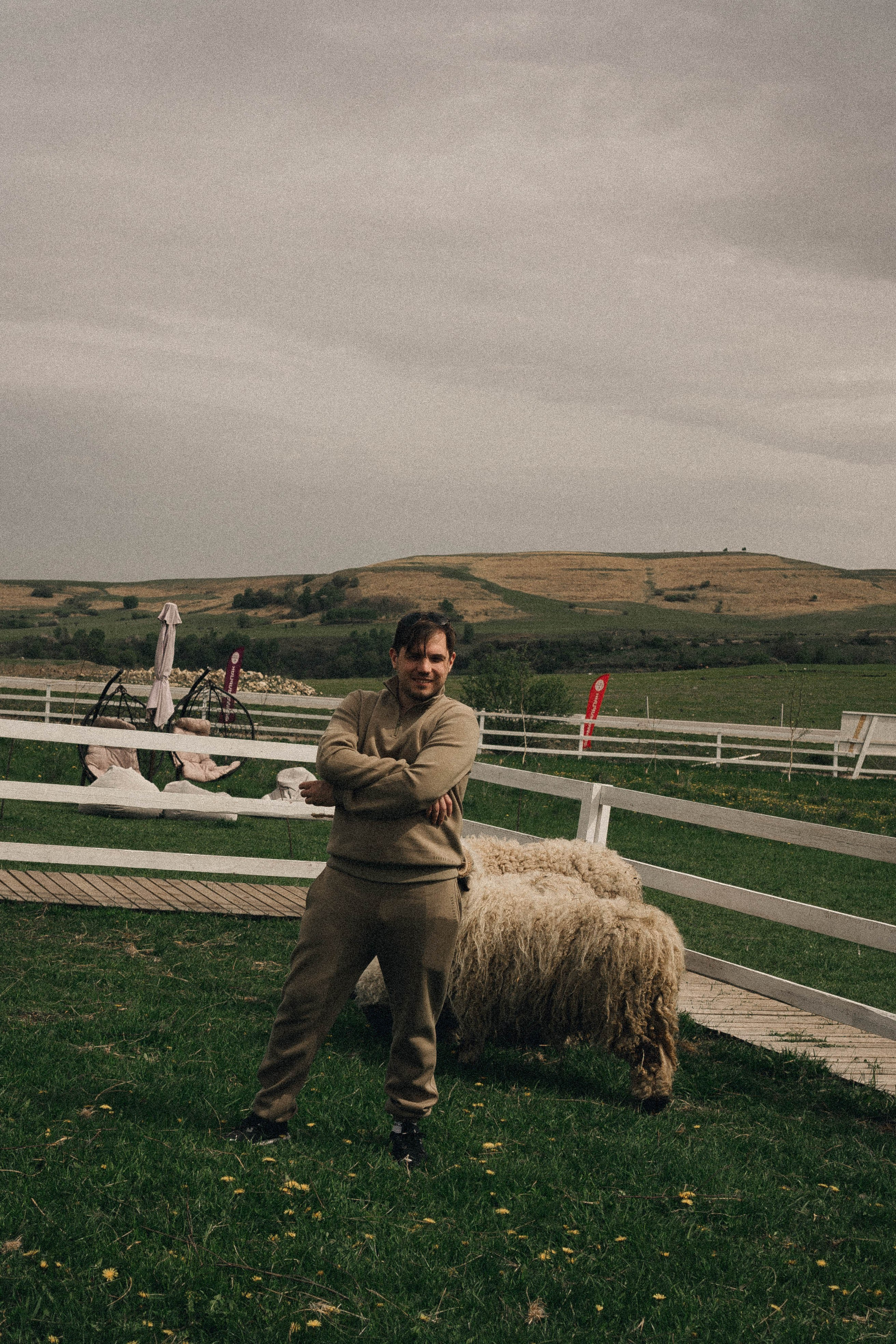 Ферма Альпак. Профессиональный фотограф, Санкт-Петербург — Виктория Богомолова