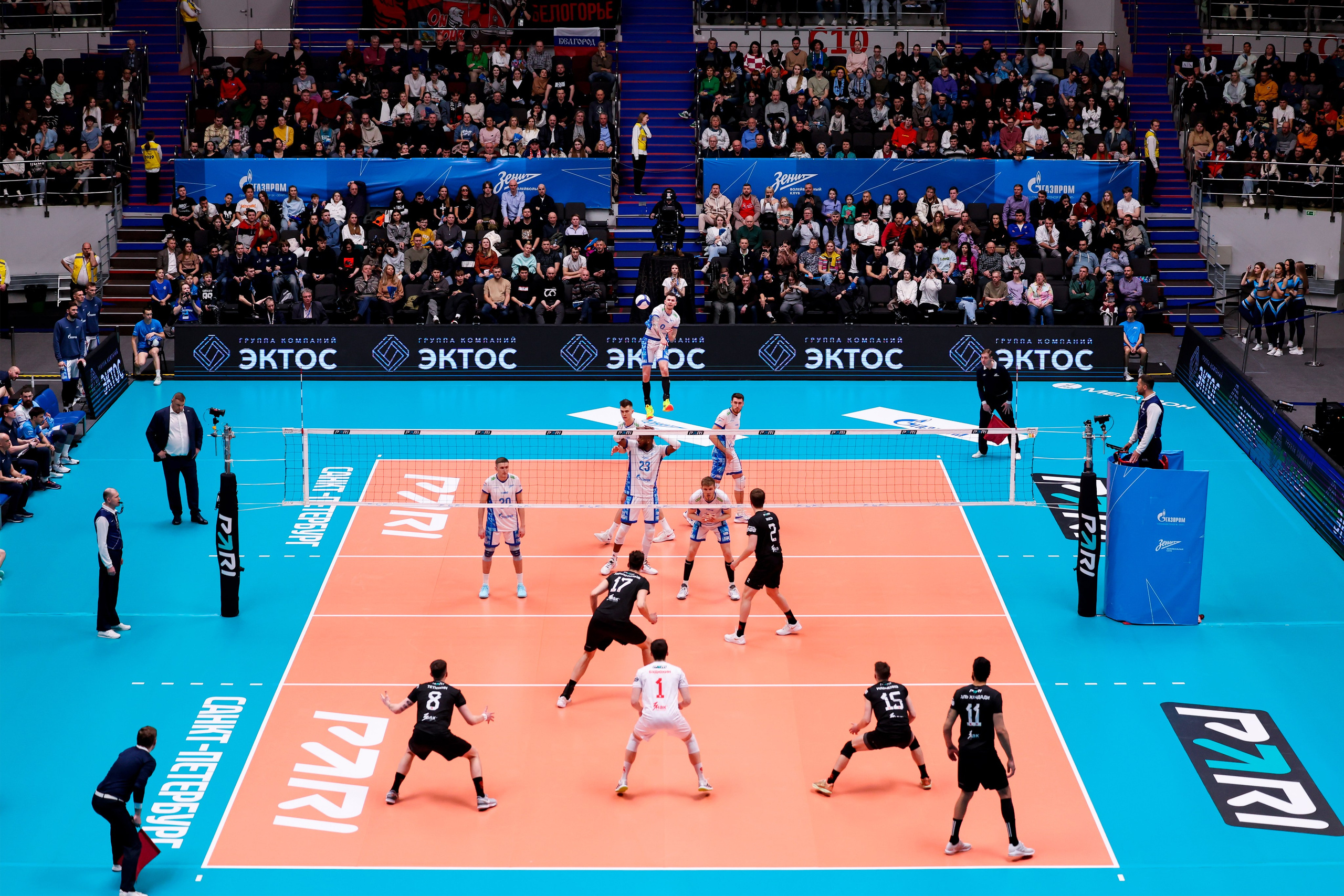 ВК Зенит — ВК Белогорье 08.04.2025. Спортивный и репортажный фотограф Антон Тереханов