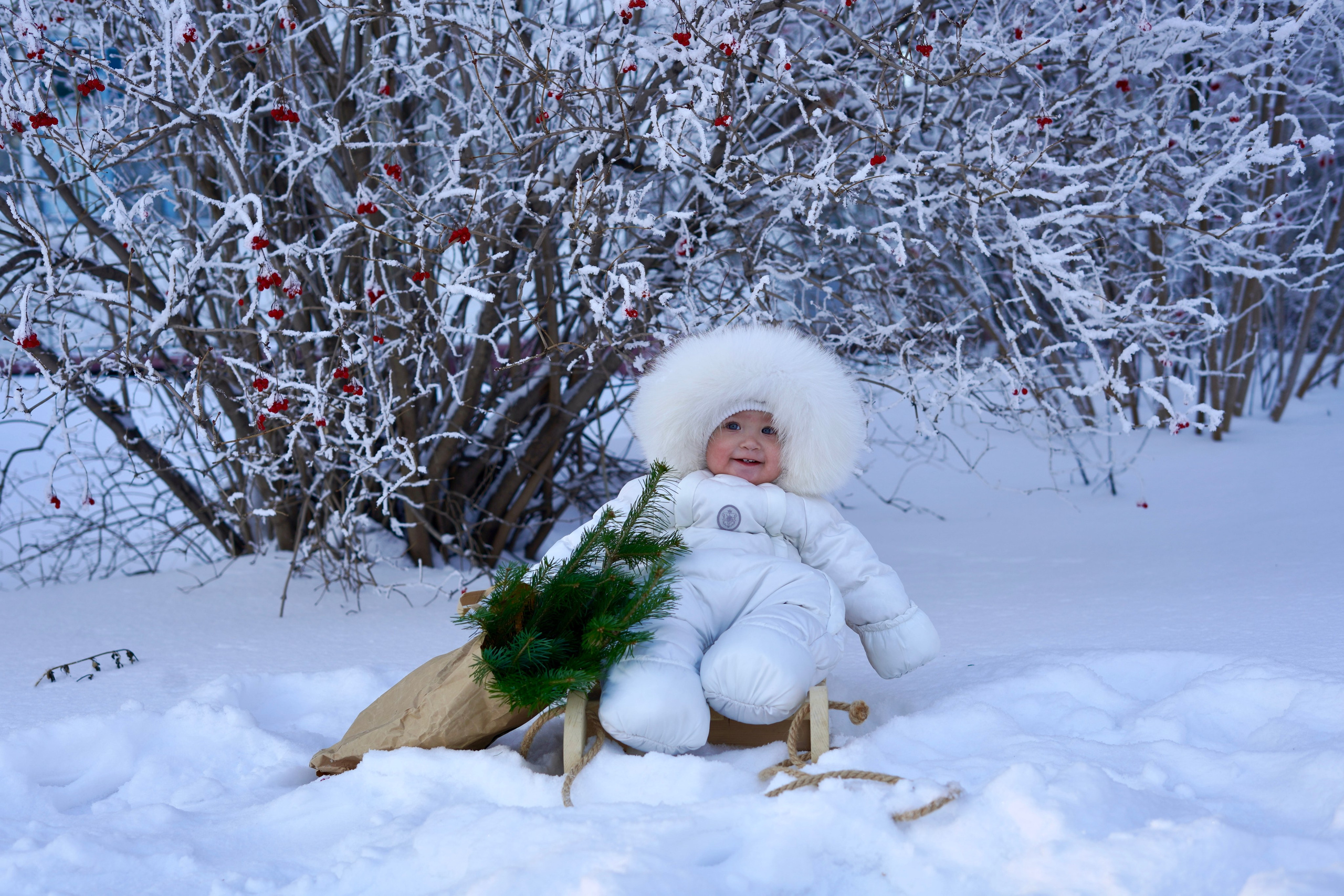 Фотосессия зимняя на улице с ребенком. Фотограф в Барнауле, Полина Черкасова