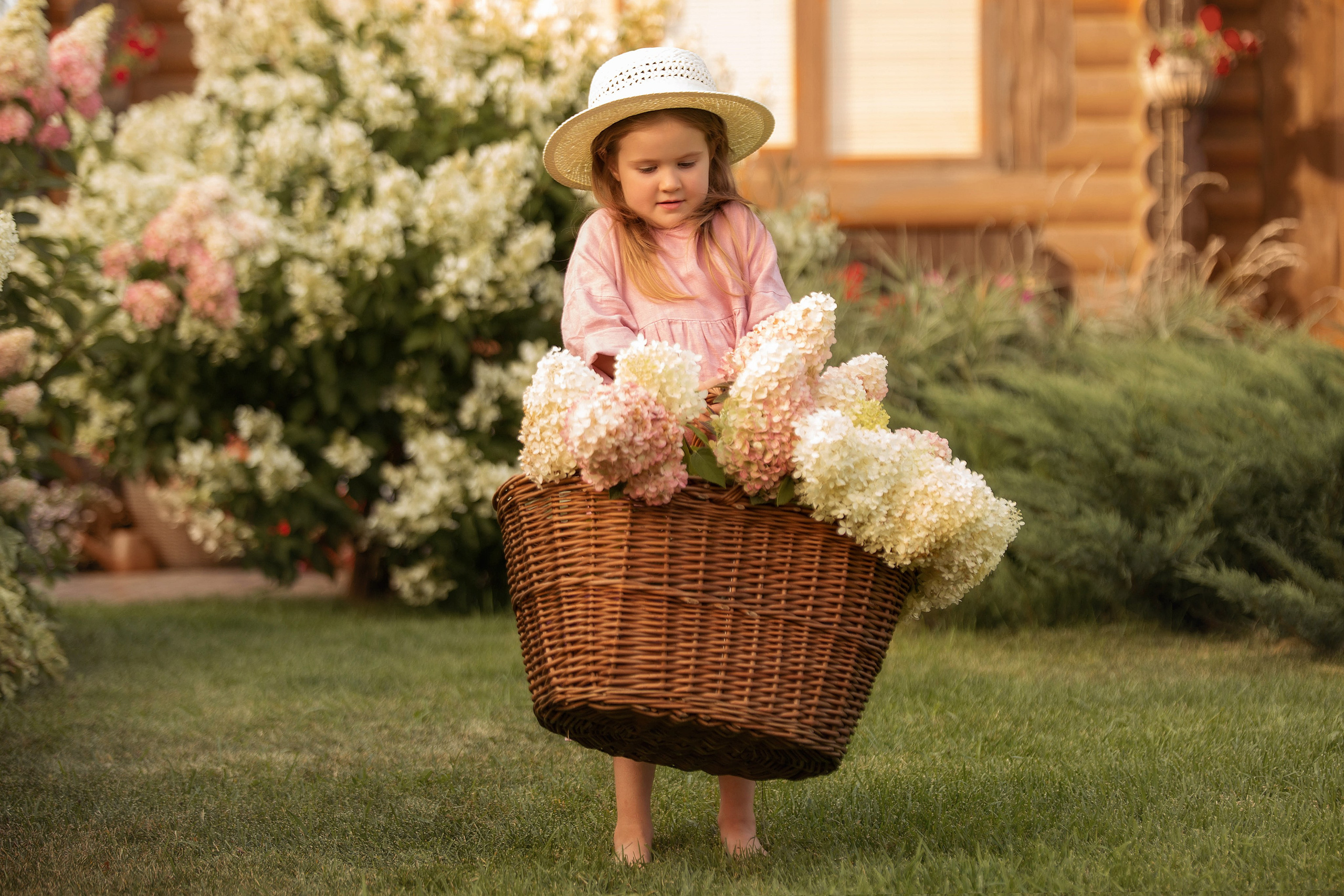 Гортензии!. Индивидульный, семейный и детский фотограф в Тюмени Елена Пахомычева
