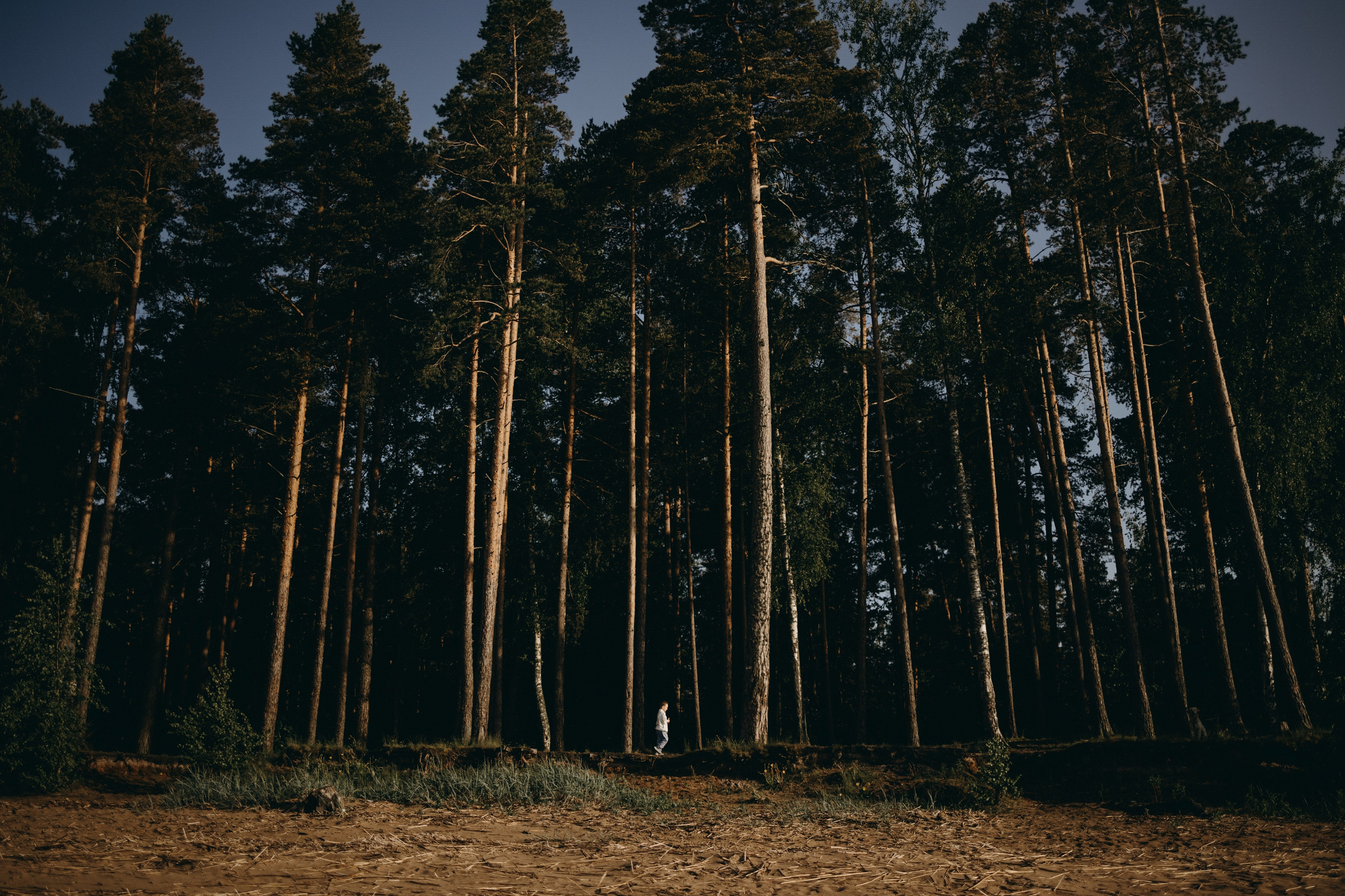 Бонни и ее семья. Фотограф — Анималист | Санкт-Петербург