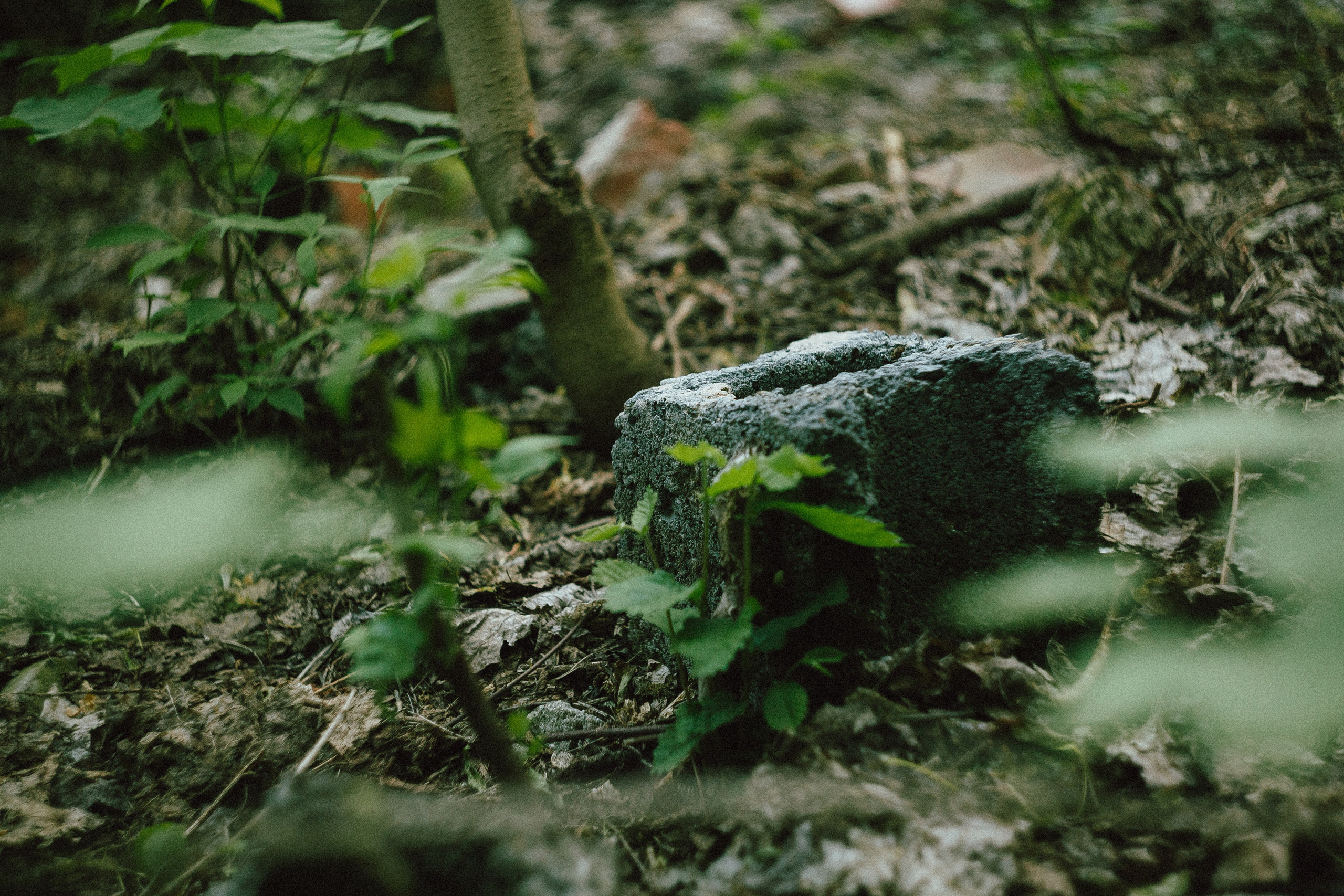 Егор. Леонид Рябов — фотограф в Нижнем Новгороде